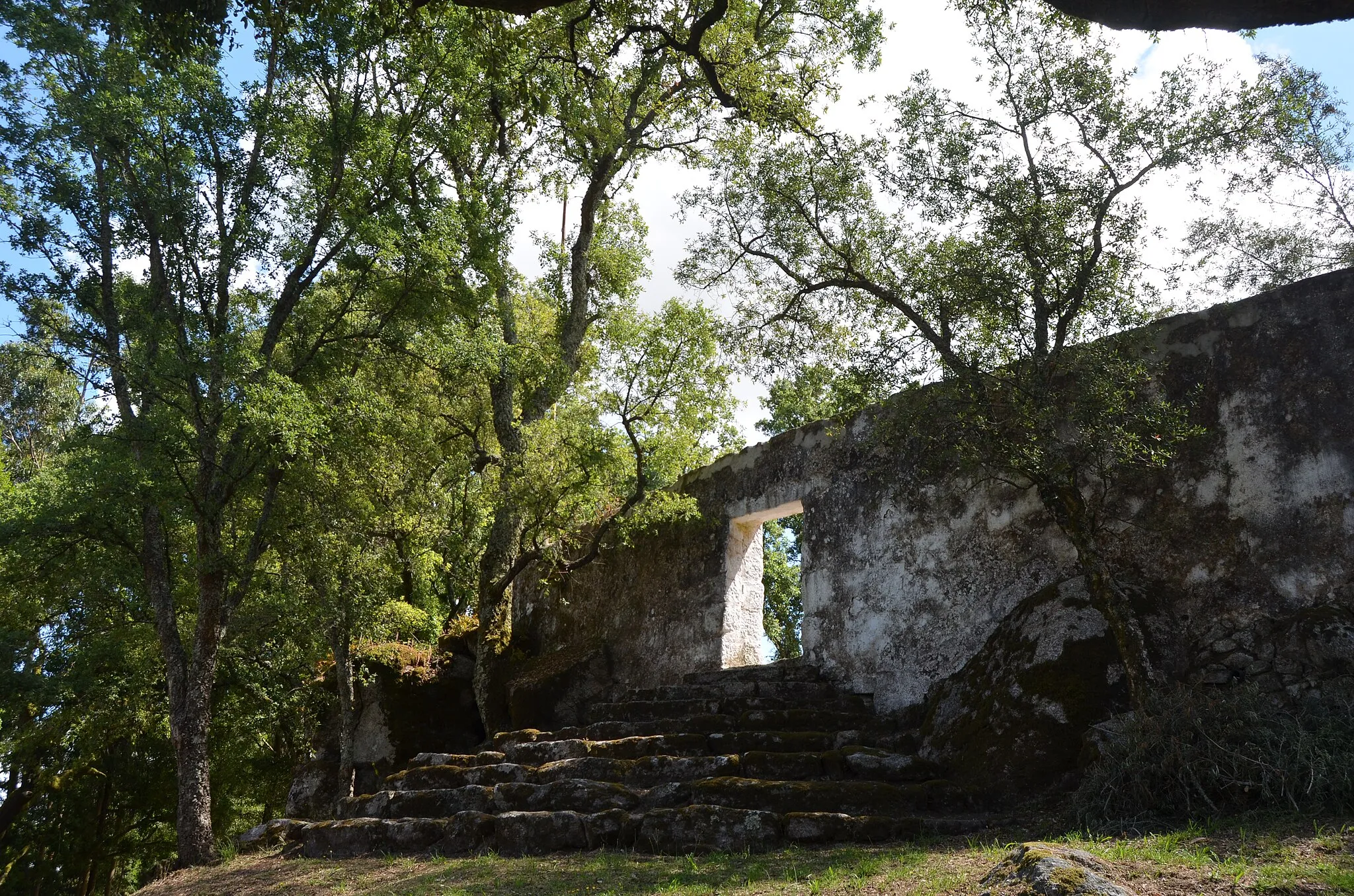 Photo showing: Trilho de S. Julião do Freixo XV