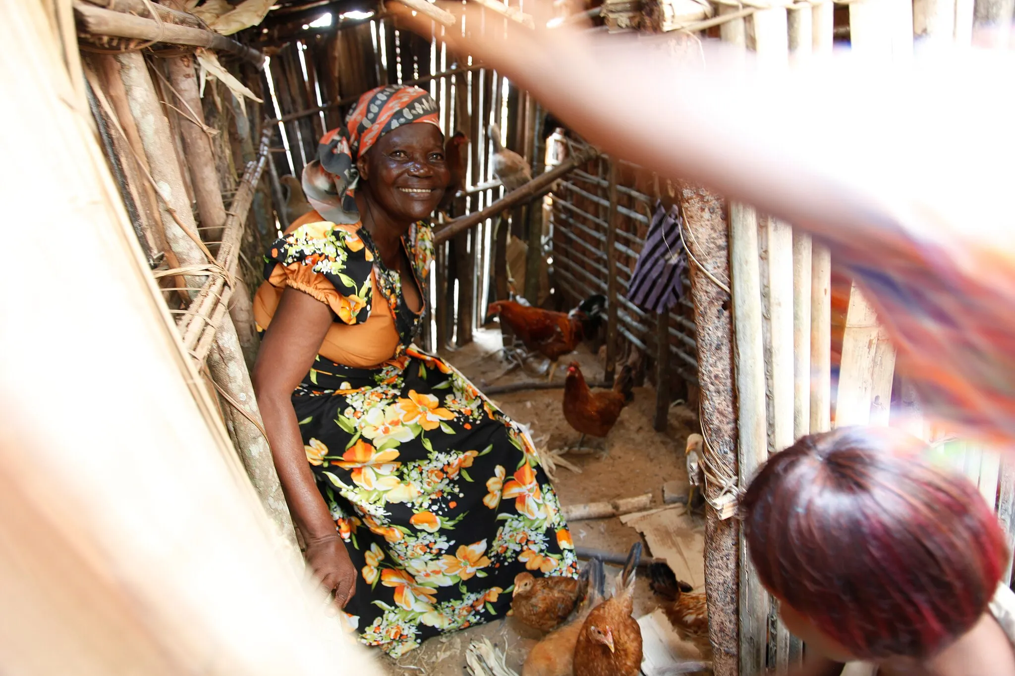 Photo showing: Pauline Velo, president of one of the community nutrition 'cells' in Masi Manimba, shows off the community's new chicken coup. Keeping a flock of chickens to lay eggs for the community to eat and sell - rather than just cooking and eating the chickens - is one of the simple ideas that the community has adopted with the help of Action Against Hunger and UK aid.
Pauline Velo is a community volunteer who, with the help of UK aid, was trained in healthy nutrition techniques by Action Against Hunger. She now passes on her training to families in the town of Masi Manimba, in western DR Congo's Bandundu Province.
Background
Acute malnutrition is a major public health problem across the Democratic Republic of Congo. UK aid has supported the government of DRC and aid agencies including Action Against Hunger to provide emergency nutrition response programmes across DRC in 2010 and 2011.

In some areas, the communities have taken the ideas that Action Against Hunger brought to them, and organised themselves to tackle malnutrition from the ground up - by forming their own co-operative farms and self-support groups.