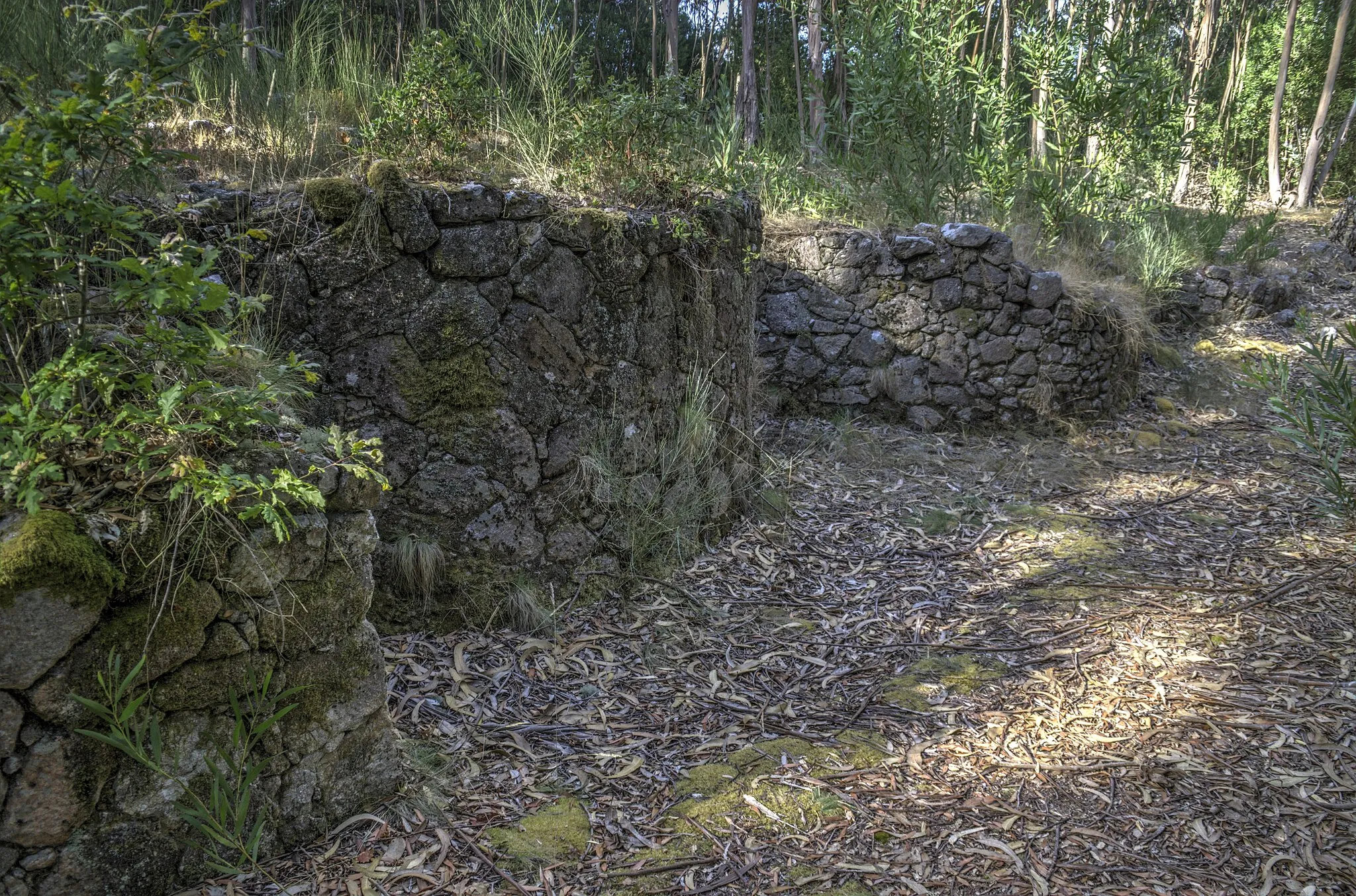 Photo showing: Poblado de la Edad del Hierro en la Serra de Santa Luzia. Aunuqe invadido por la vegetación, conserva una muralla, canalizaciones y viviendas. Concello de Afife, Portugal.