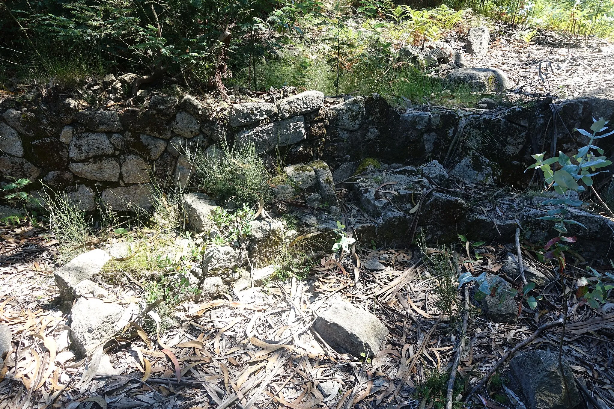 Photo showing: São Lourenço de Sande, Guimarães Portugal.