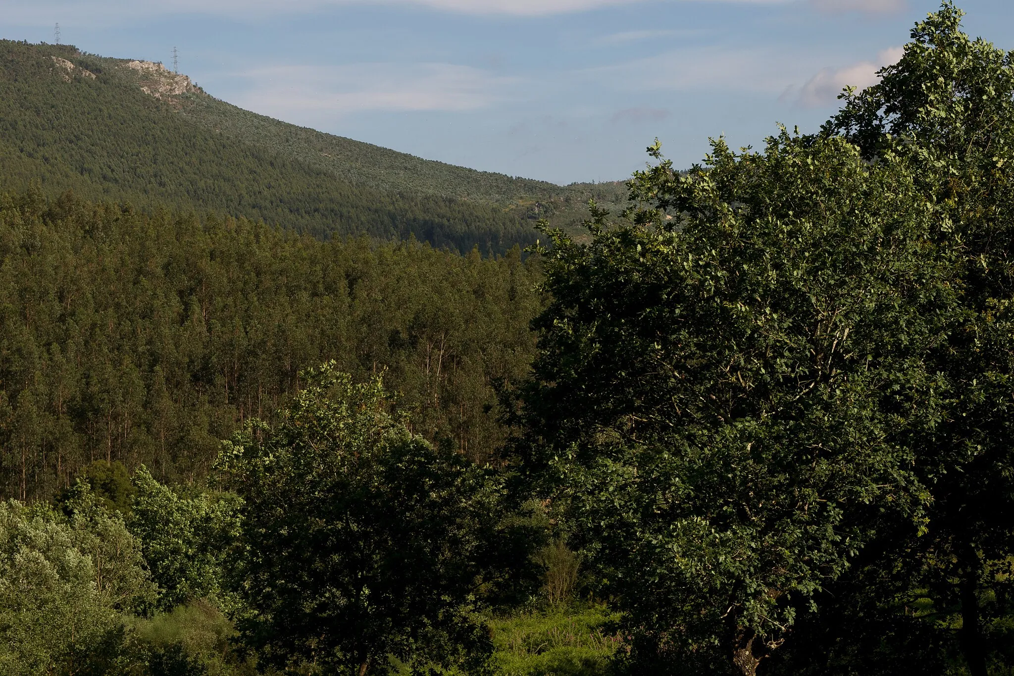 Photo showing: This is a photography of a Site of Community Importance in Portugal with the ID: