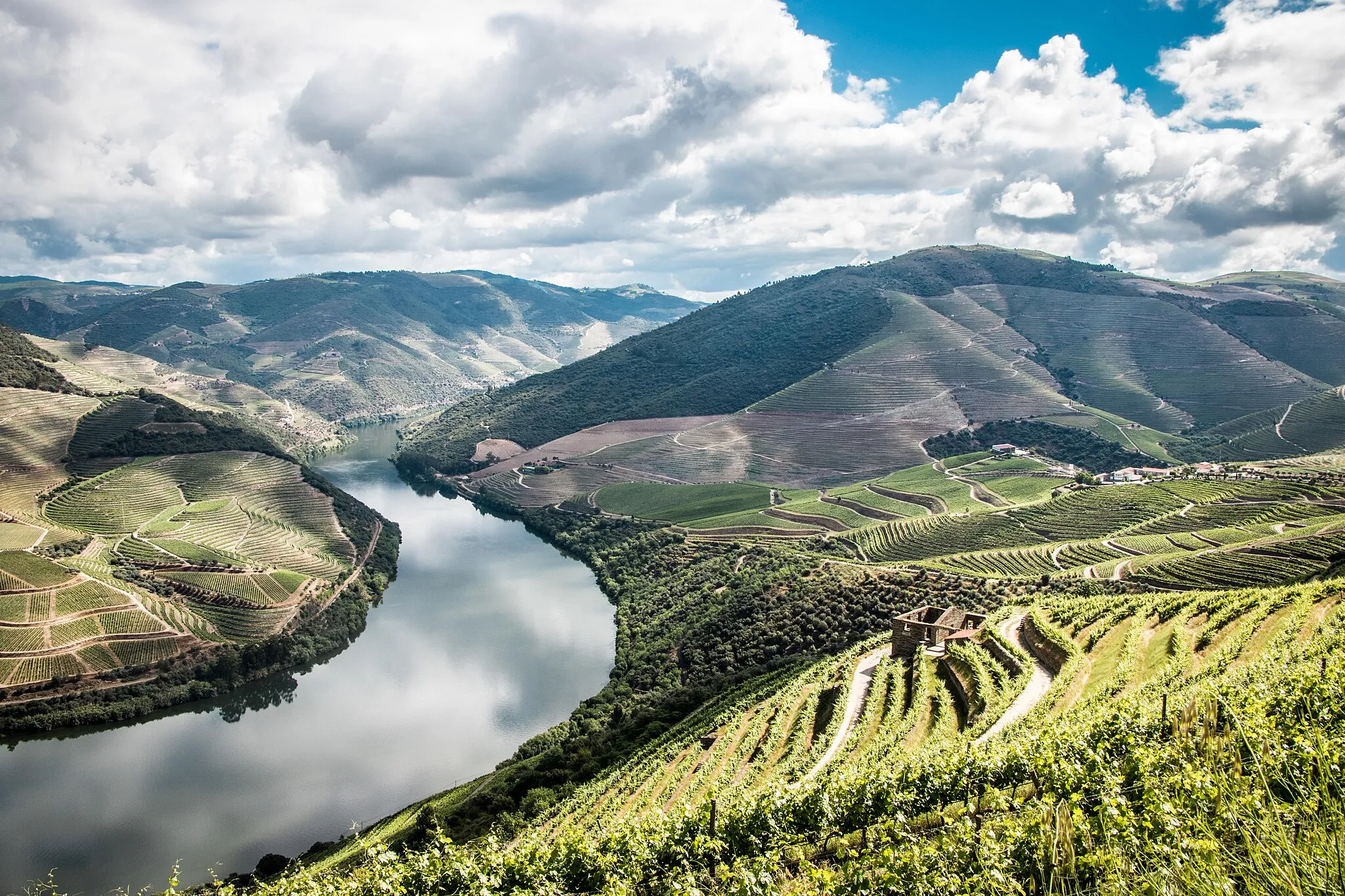 Photo showing: Foto tirada em Ventozelo, Ervedosa do Douro