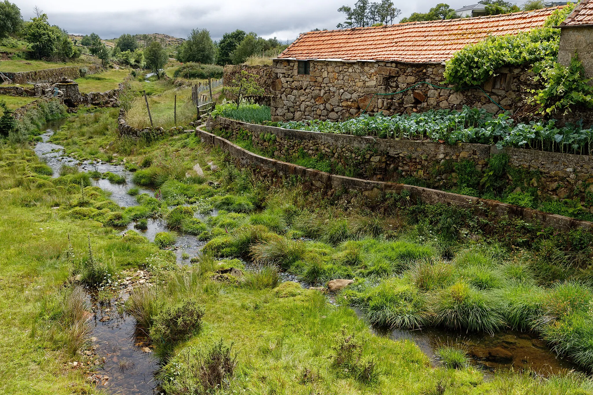 Photo showing: This is a photography of a protected area of Portugal indexed in the World Database on Protected Areas with the ID: