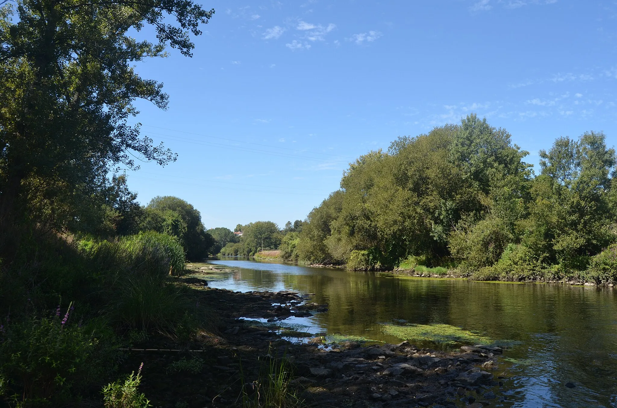 Photo showing: A pleasant day by the river