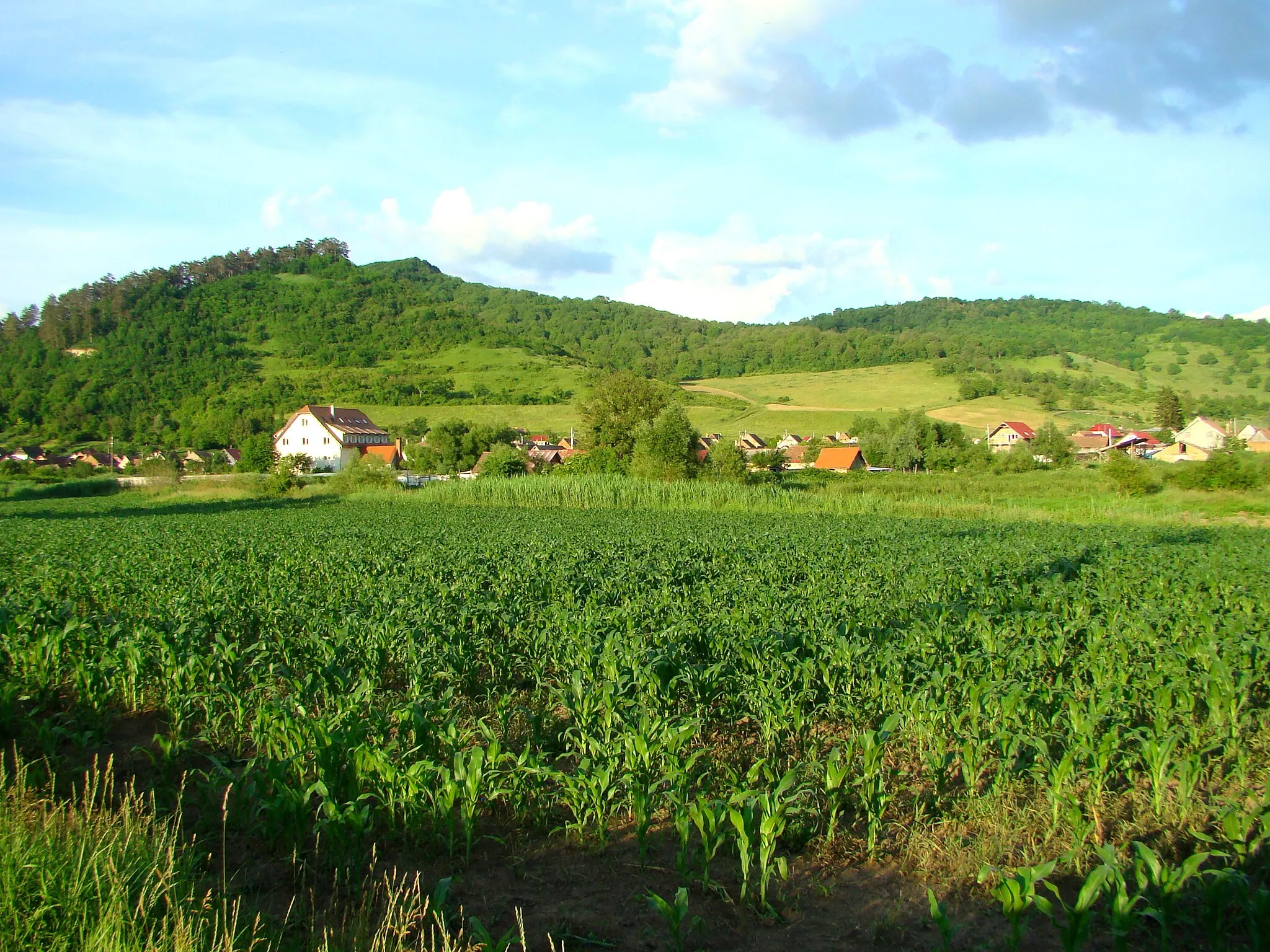 Photo showing: Țigmandru, Mureș County, Romania