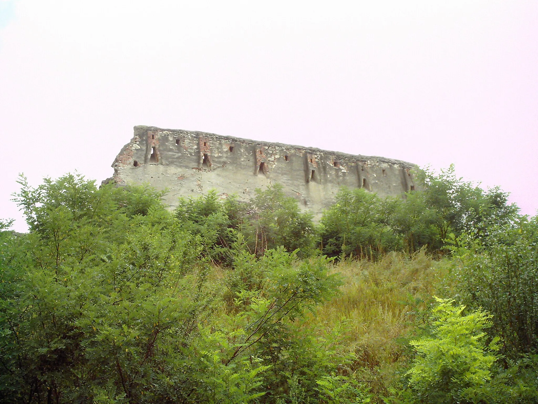 Photo showing: Ruines of the citadel in Feldioara, Romania; curtain wall