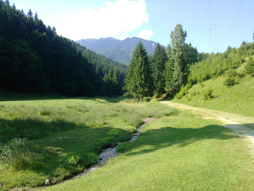 Photo showing: Piatra Mare Massif