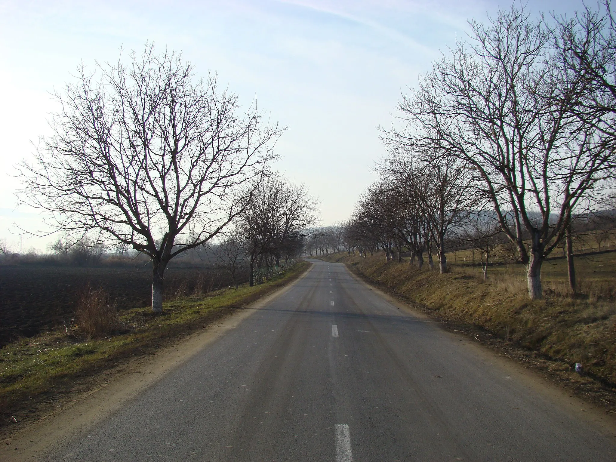 Photo showing: Suplac, Mureș county, Romania