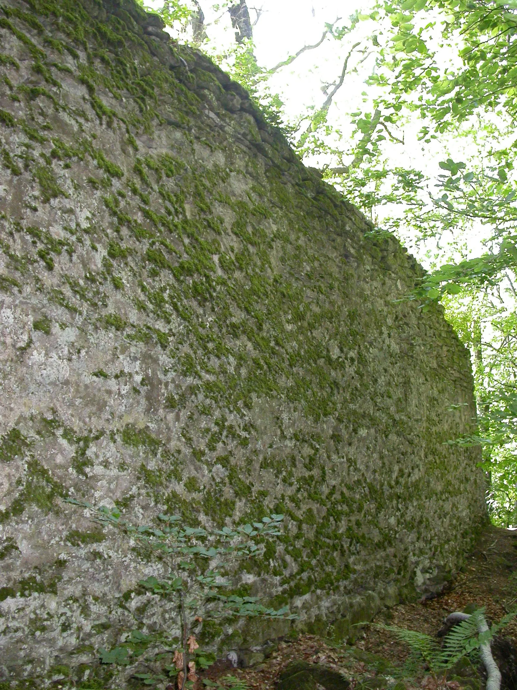 Photo showing: Cetatea Bálványos (ruine), sec. XIII-XIV