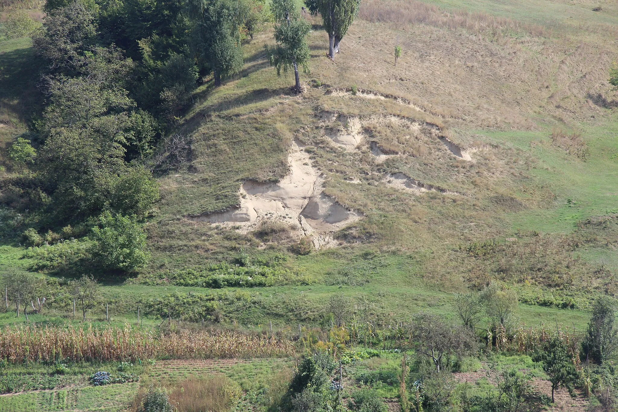 Photo showing: Erosion mit Hangrutschungen bei Reichesdorf (Richis), Kreis Sibiu, Rumänien