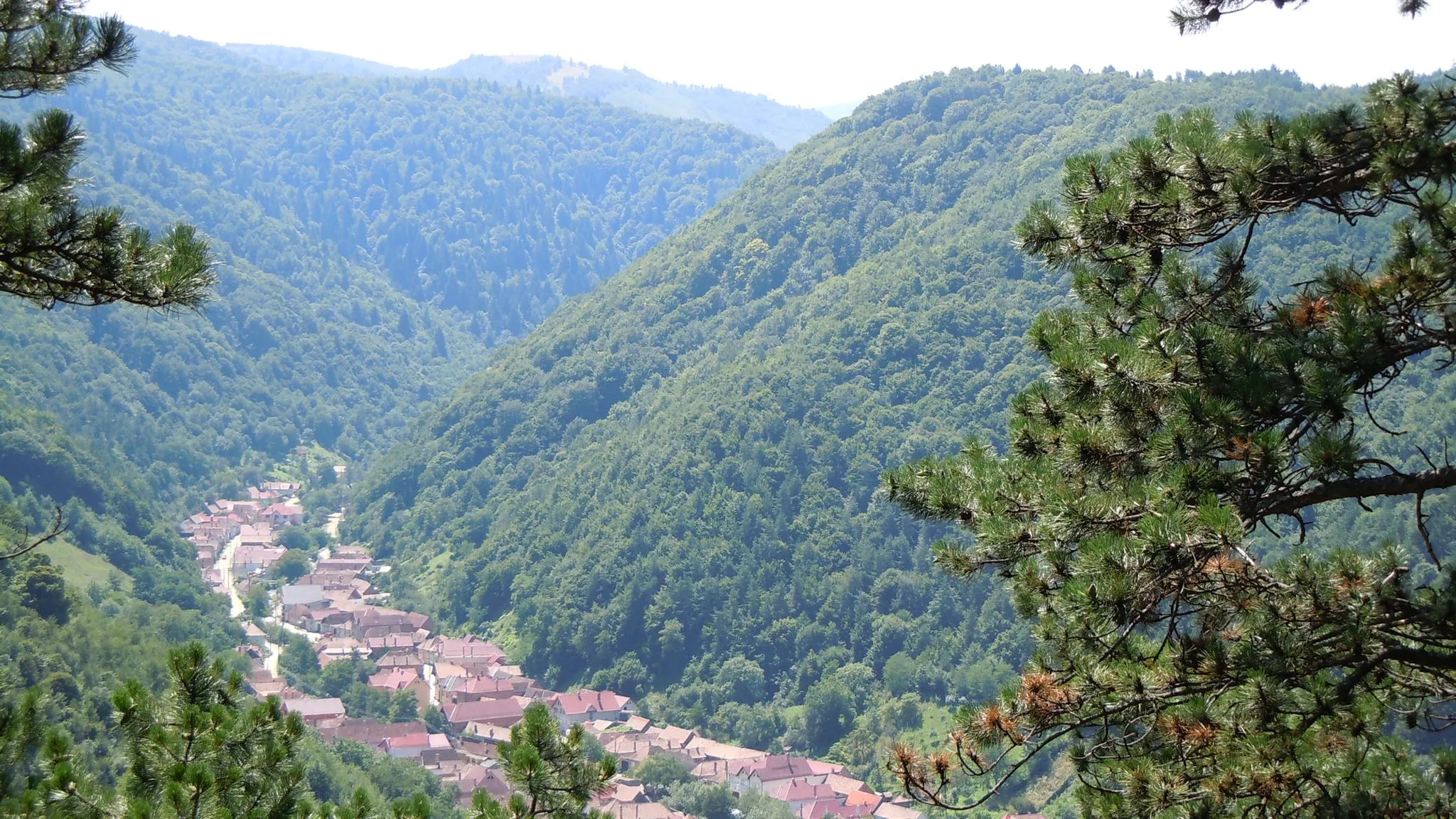 Photo showing: Dacian Fortress of Tilișca