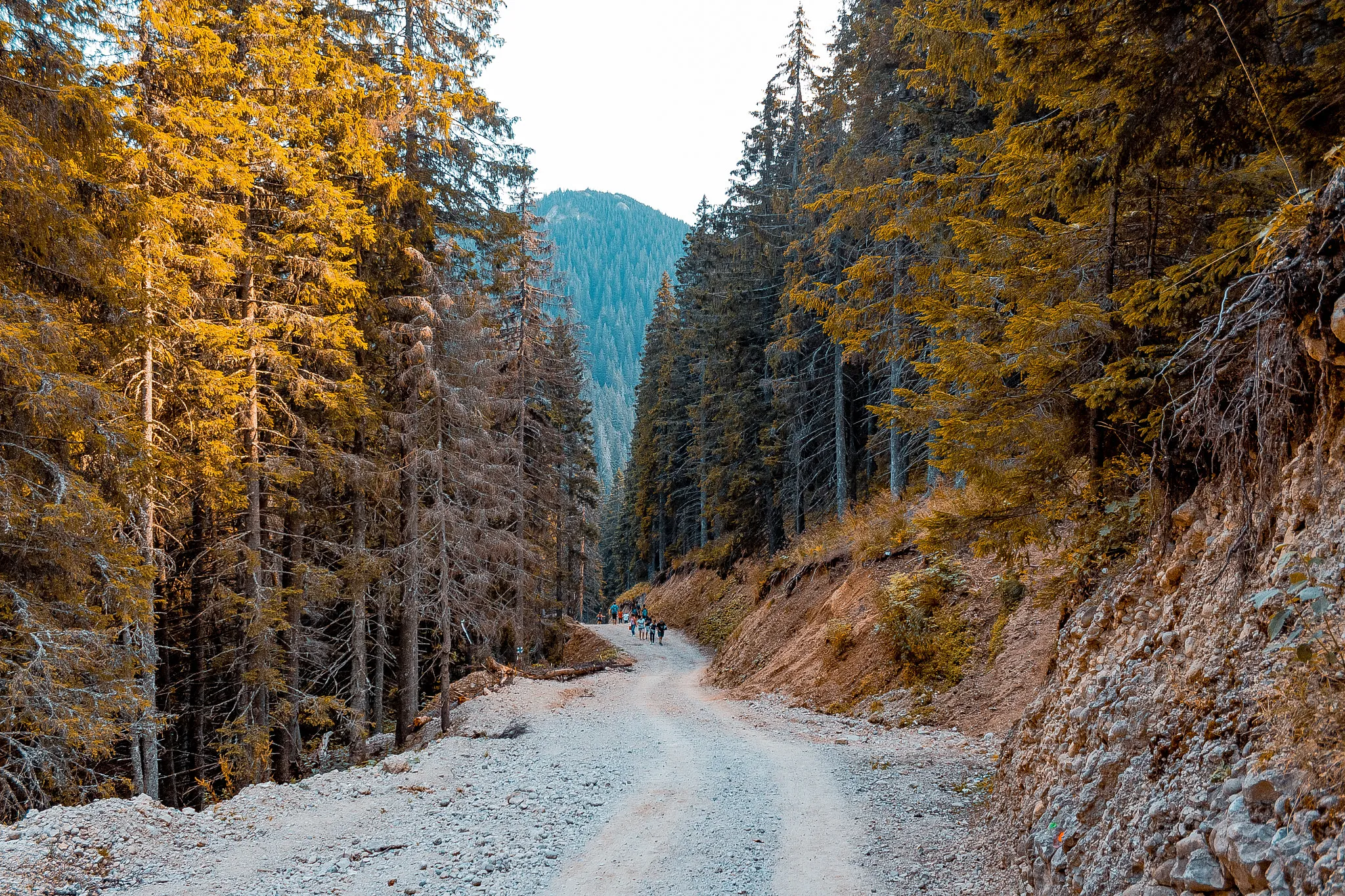 Photo showing: 500px provided description: Cheia Prahova [#mountains ,#nature ,#romania ,#cheia ,#prahova ,#beautiful romania ,#muntele rosu]