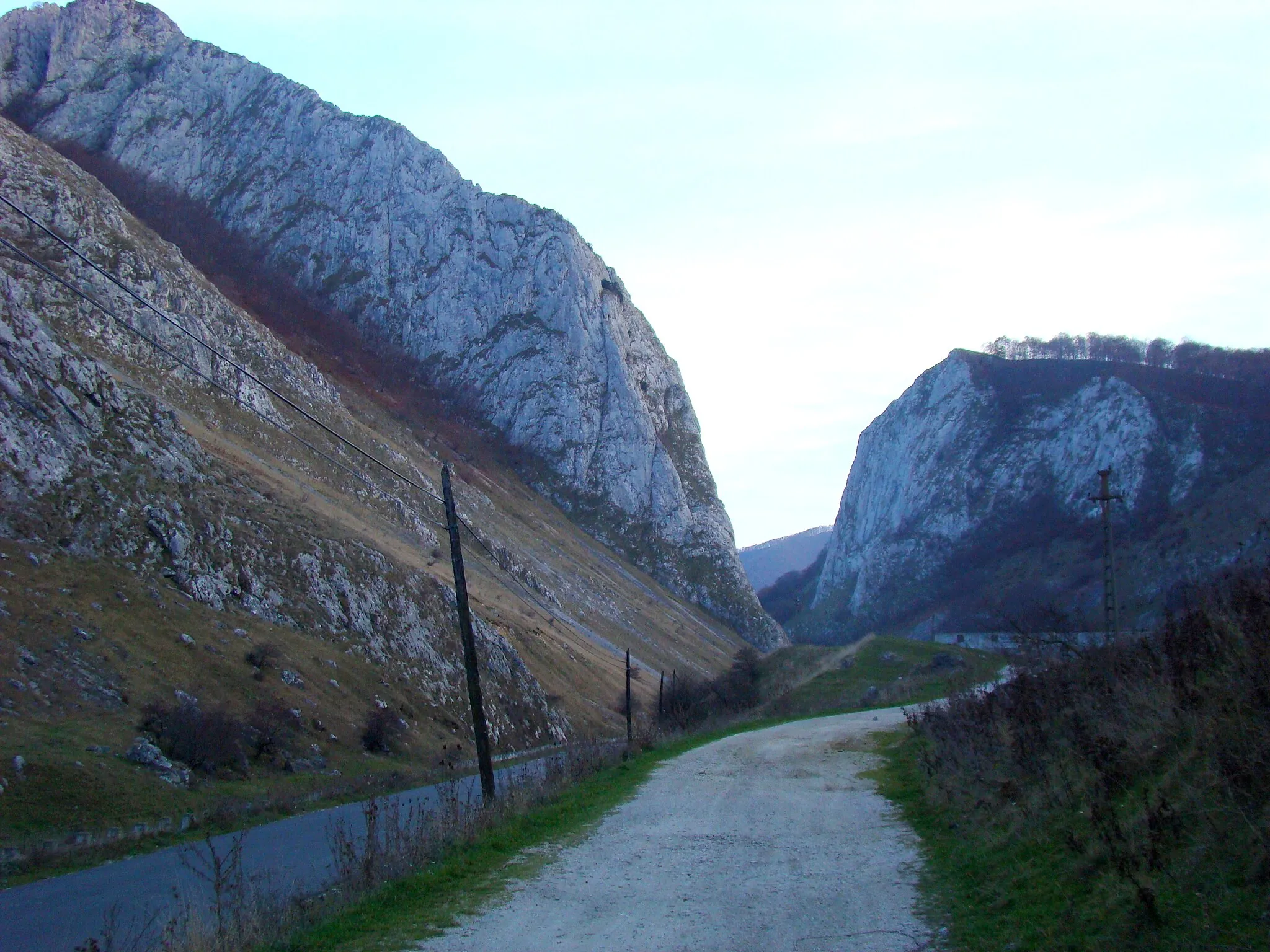 Photo showing: Vălișoara Gorge, Alba County, Romania