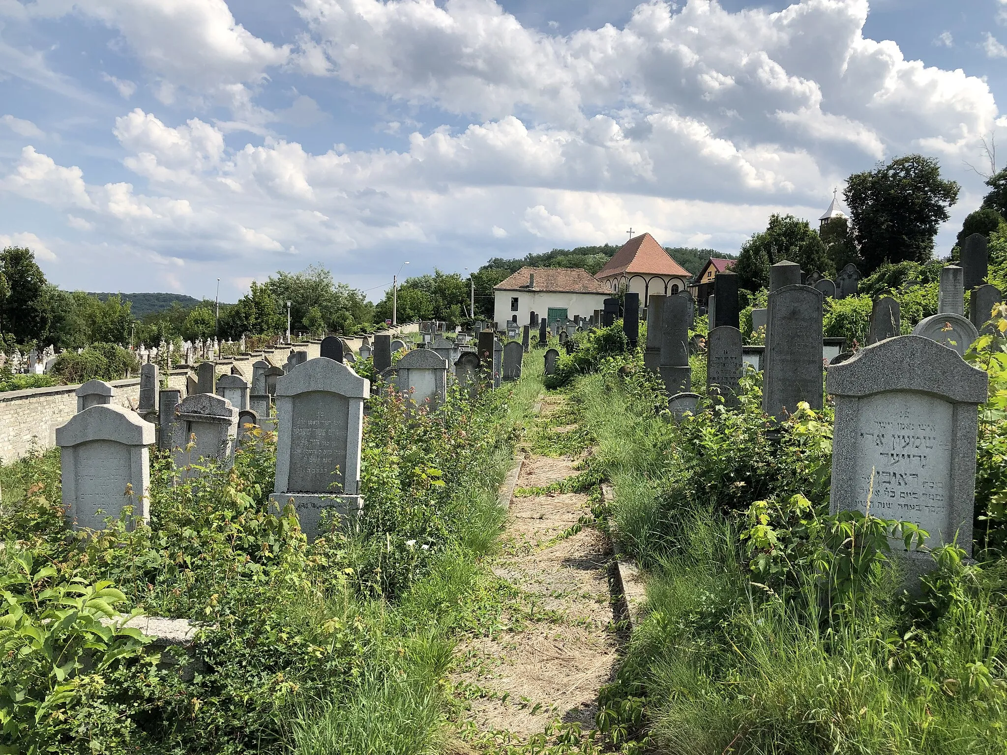 Photo showing: Overview of the Jewish cemetery in Mediaș and the Bet Tahara, now used as a workshop