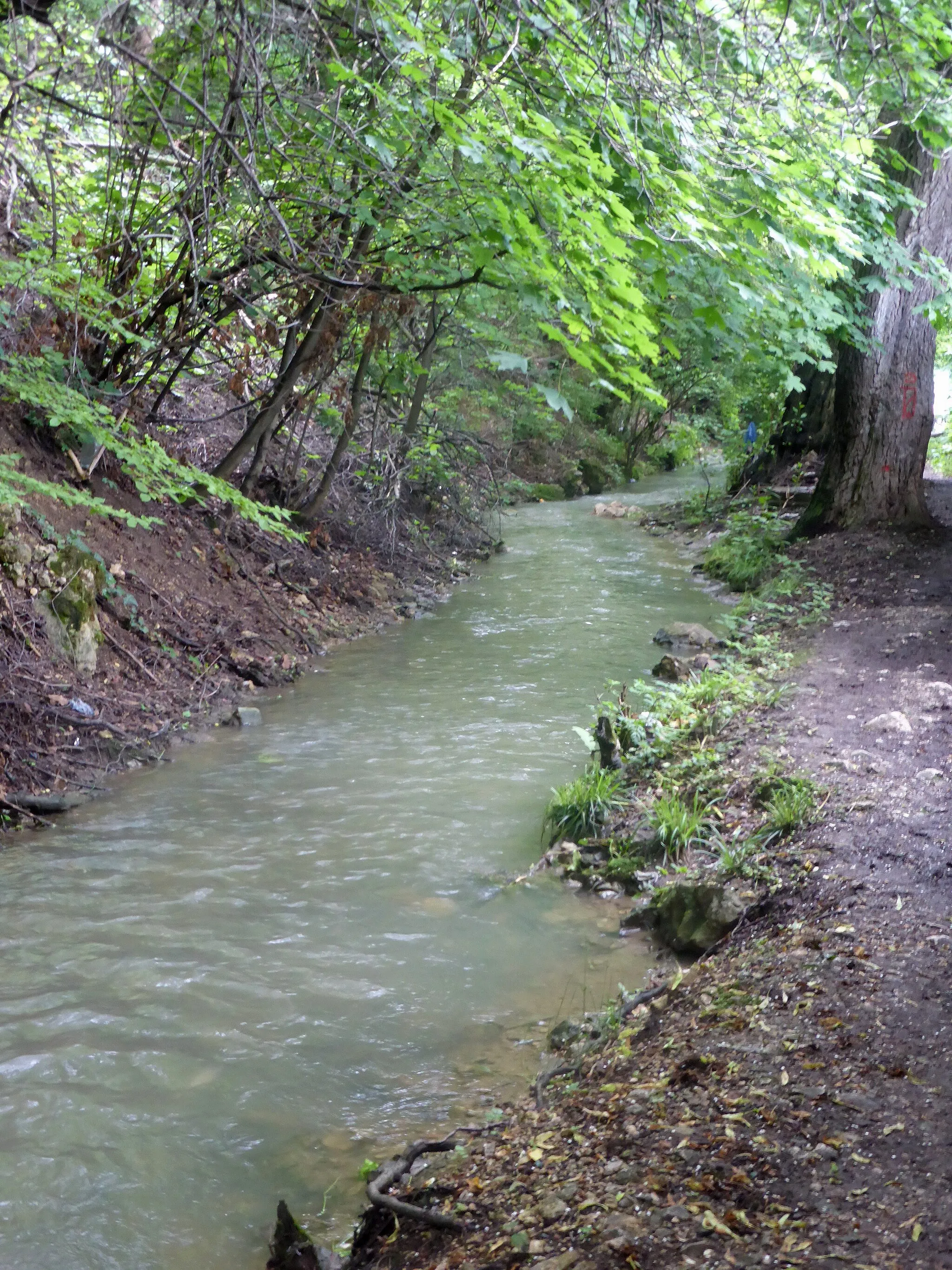 Photo showing: Der Tömöschkanal in Kronstadt (RO).