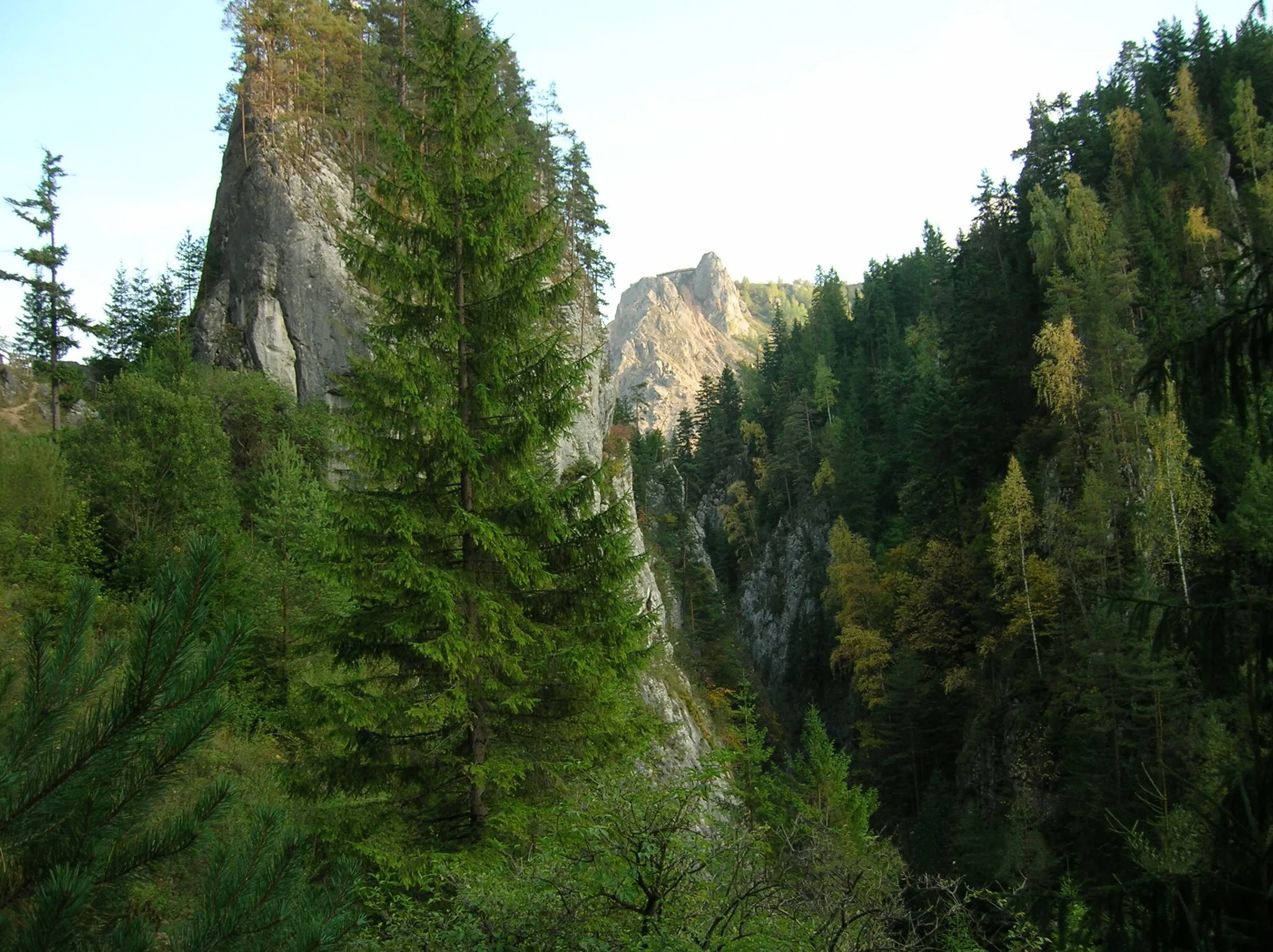 Photo showing: Cheile Şugăului, Rezervaţia Cheile Şugăului-Munticelu, Parcul Naţional Cheile Bicazului-Hăşmaş, Judeţul Neamţ, România