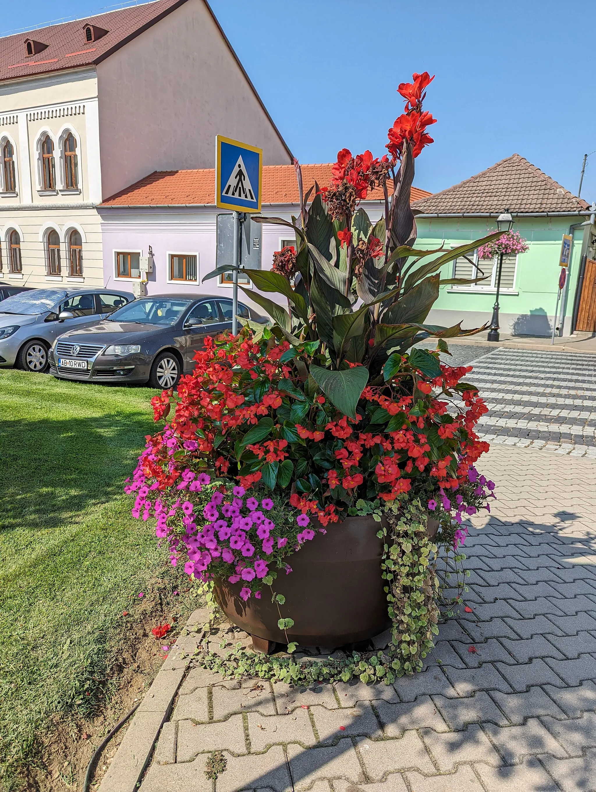 Photo showing: A flowerpot on 1848 Square in Blaj