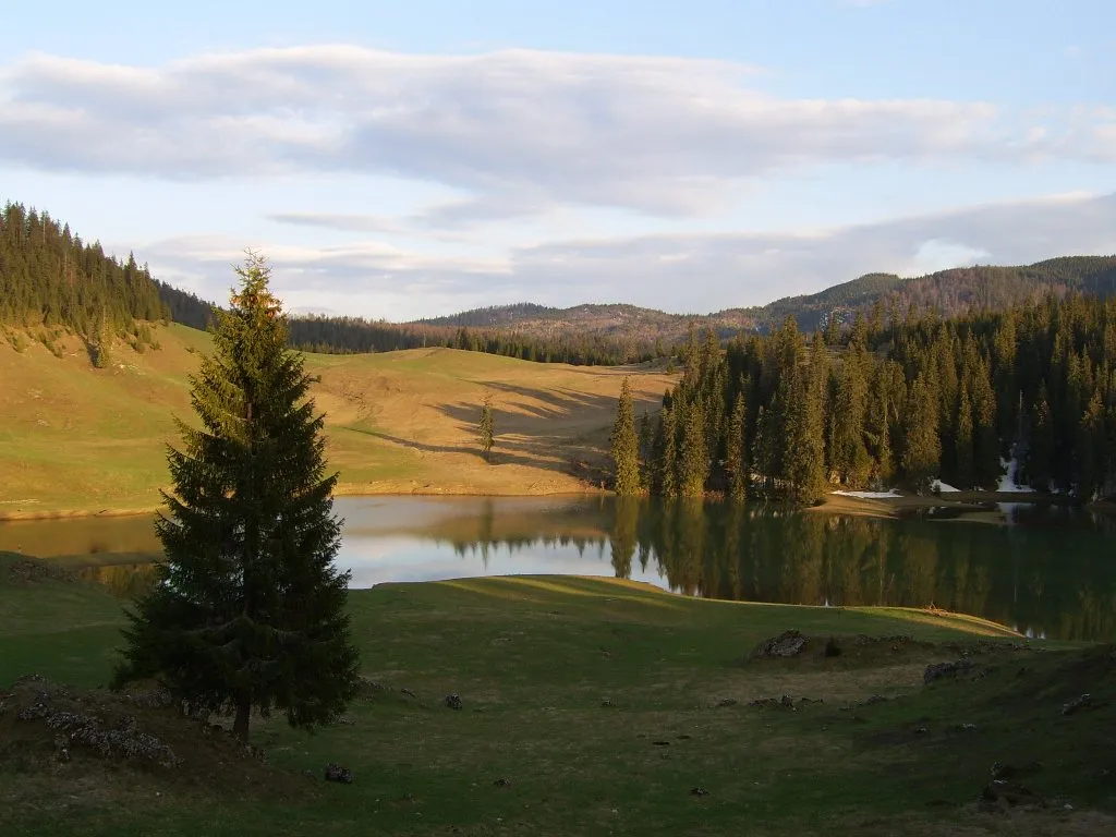 Photo showing: The view on the Ponor Glade, the only example of polje in Padis Plateau, Romania.