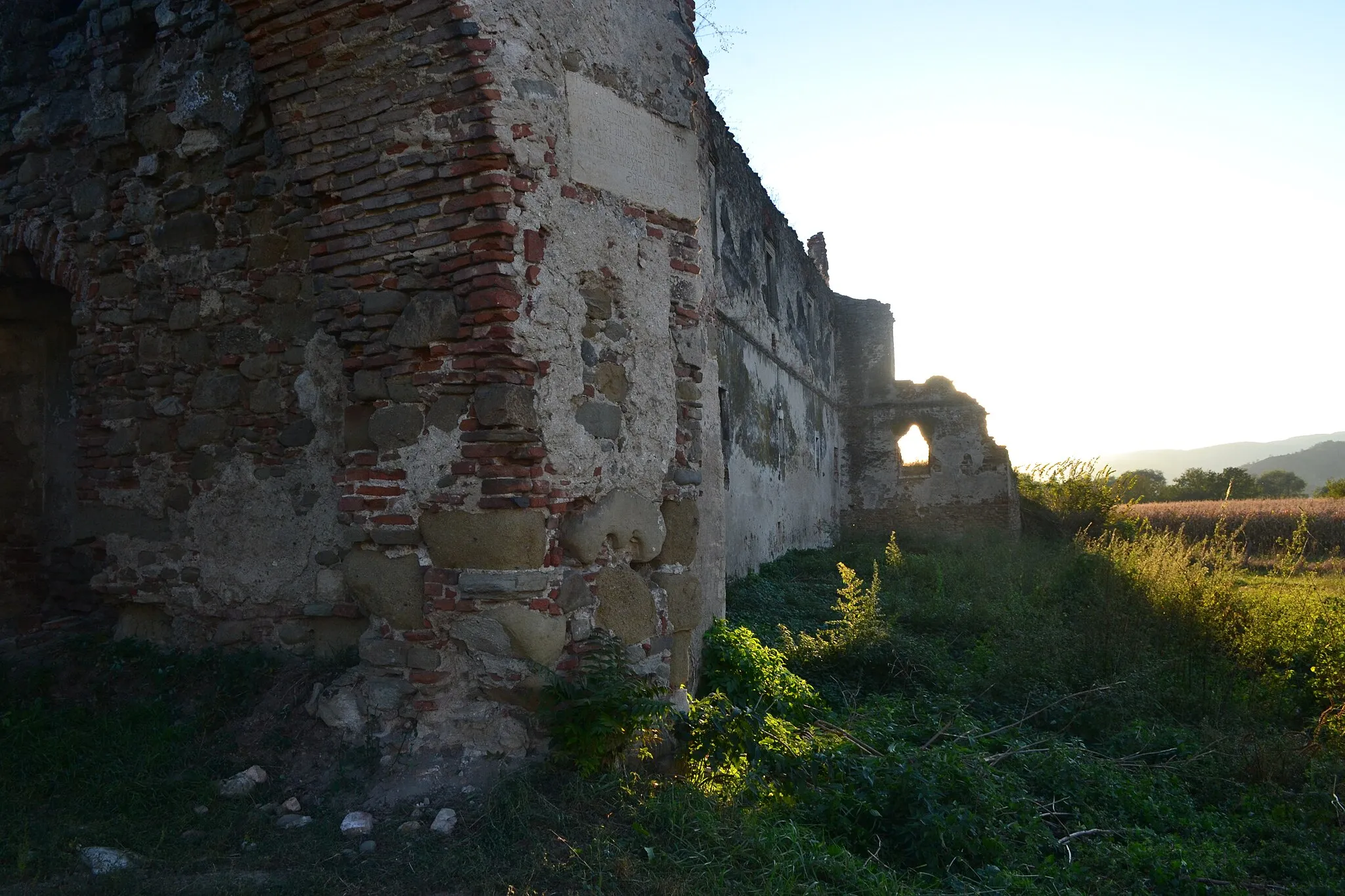 Photo showing: fatada pastrata a castelului