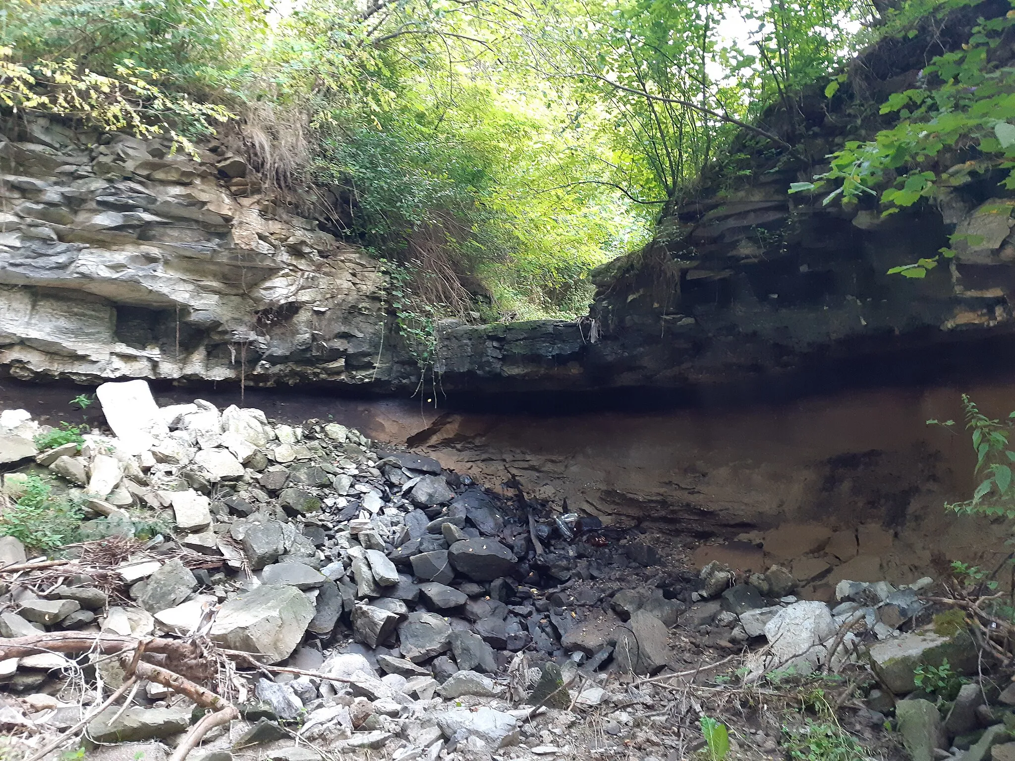 Photo showing: Microcanionul în bazalt de la Hoghiz: cascada din amonte.