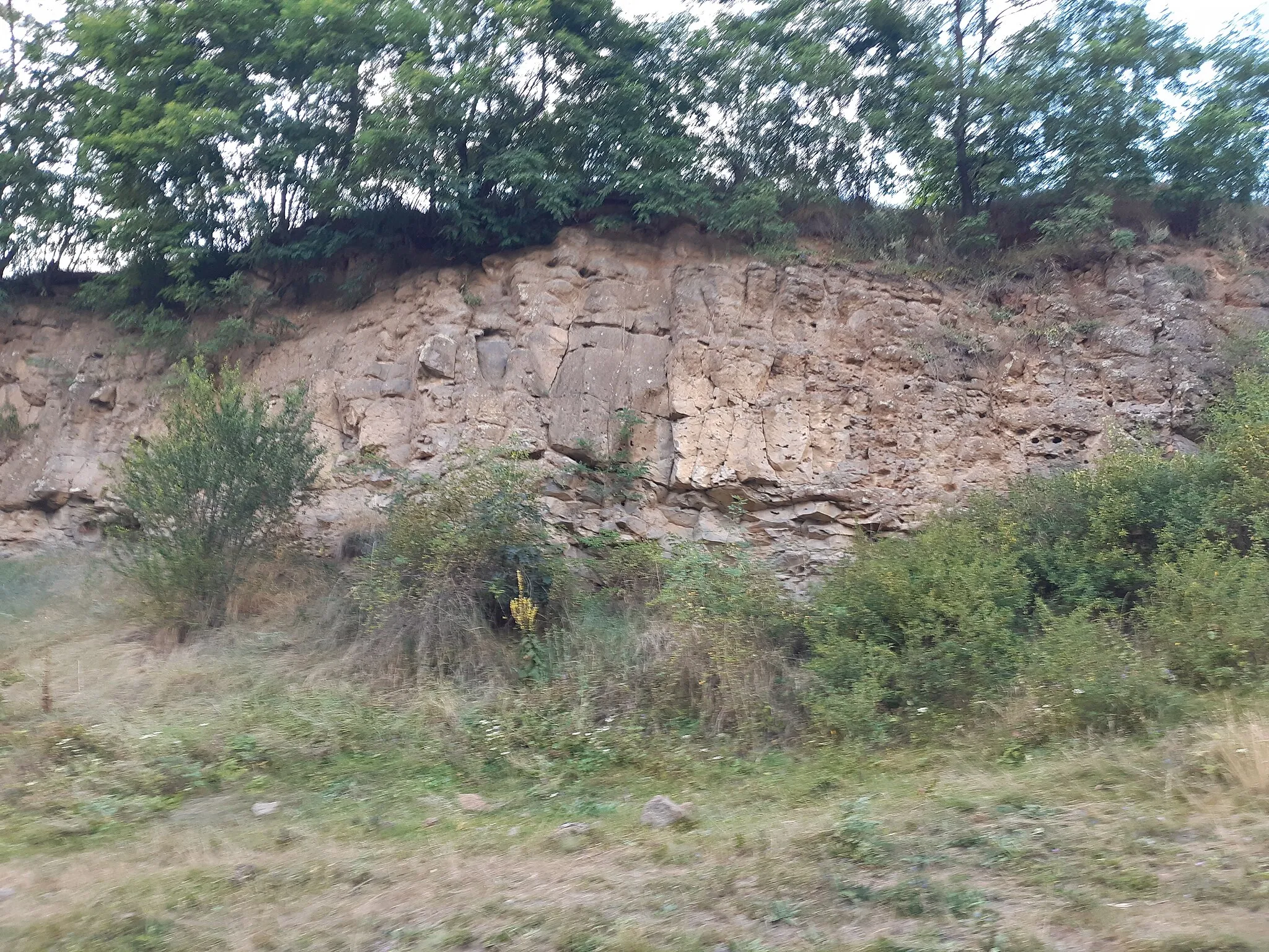Photo showing: Microcanionul în bazalt de la Hoghiz: pe versantul drept, în partea superioară.