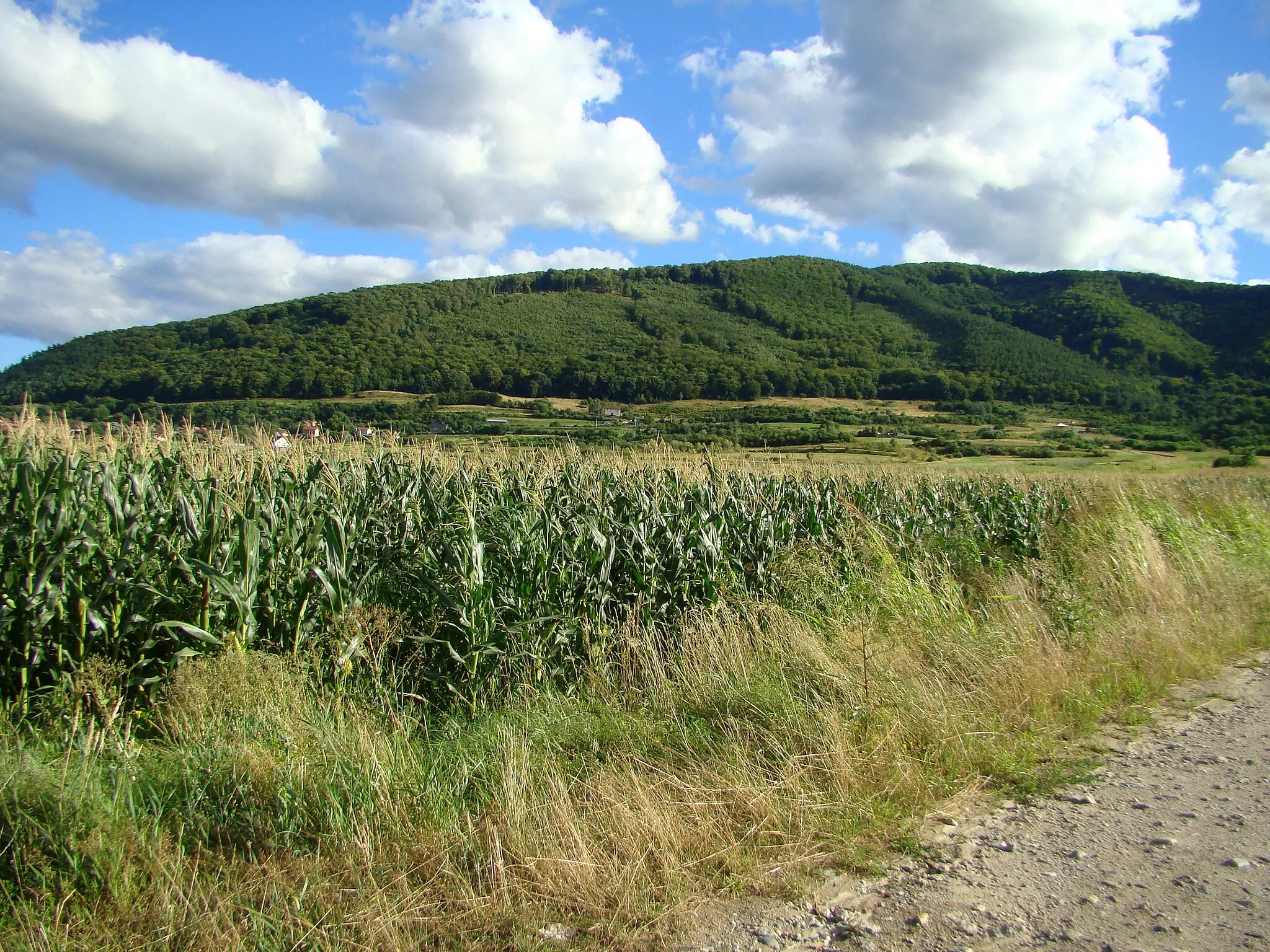 Photo showing: Poplaca, Sibiu County, Romania