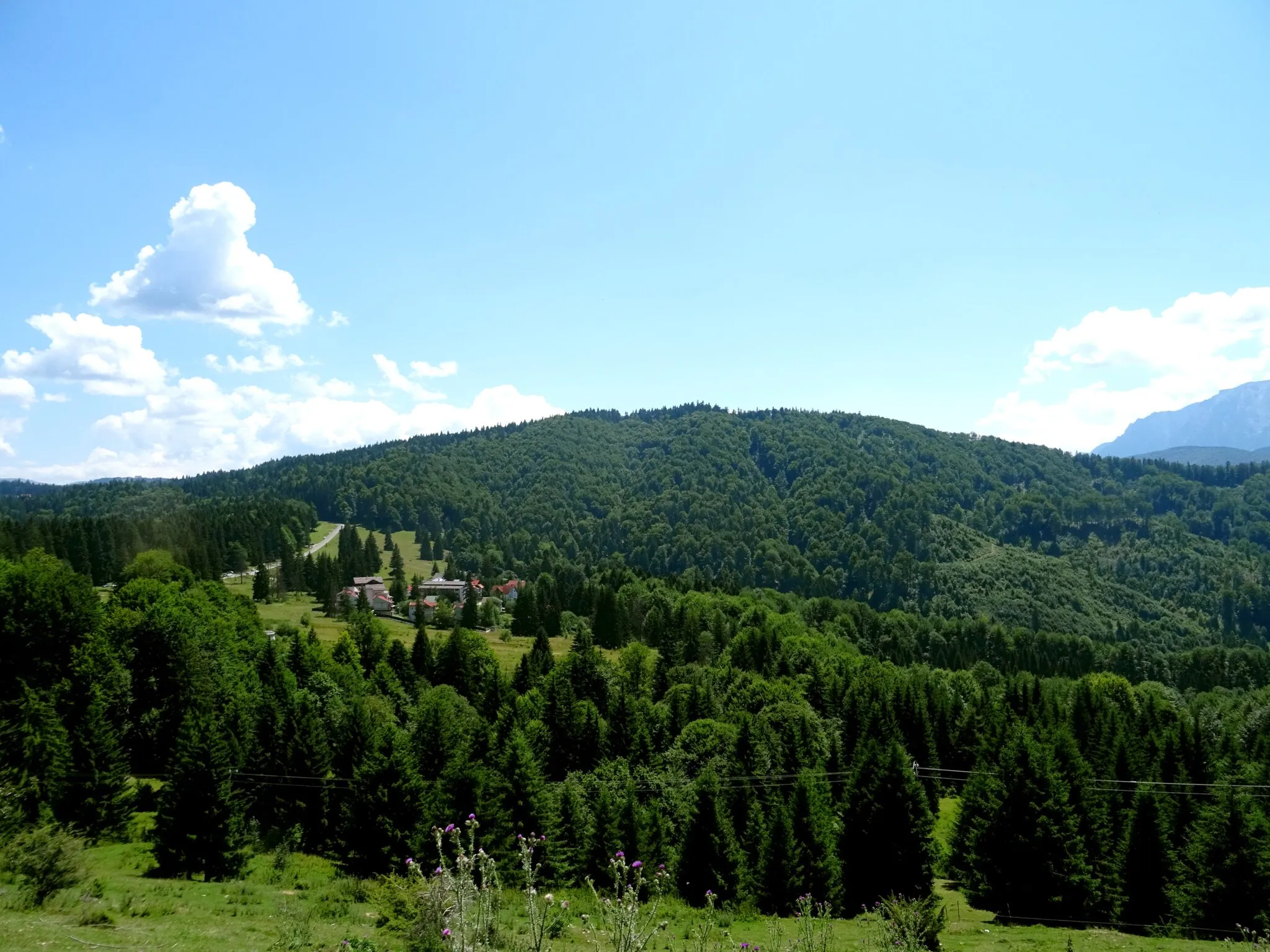 Photo showing: View of Fetifoiu north side (part of Postăvarul massif), Romania