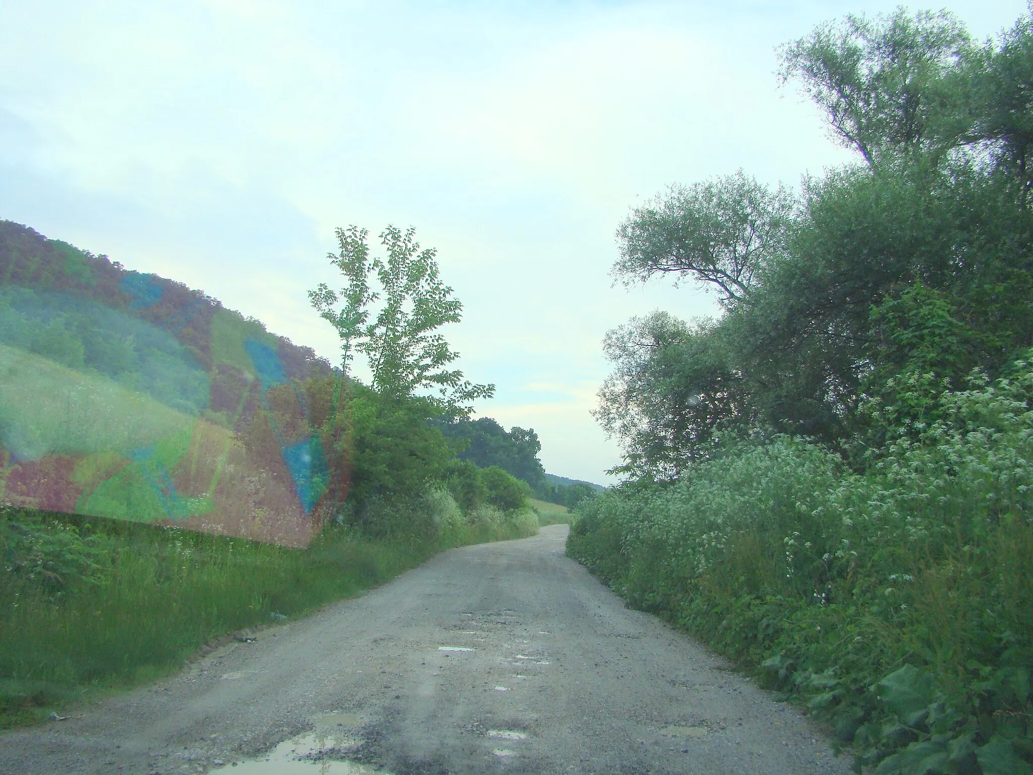 Photo showing: Road Crihalma-Ungra in Braşov county, Romania