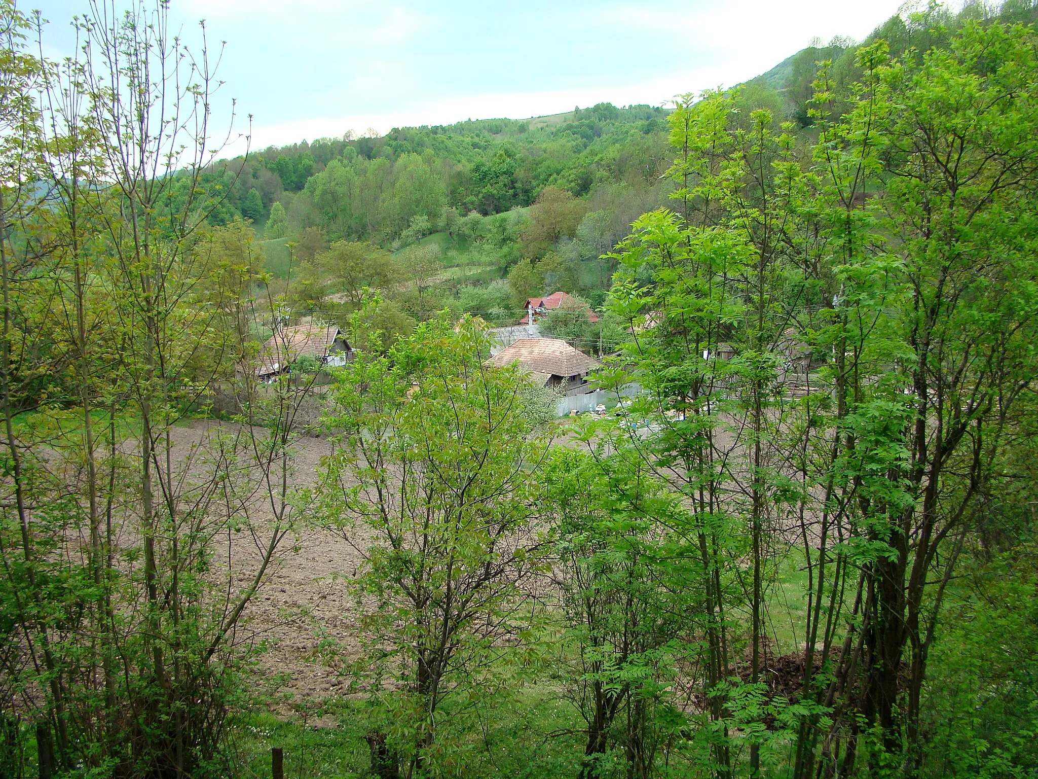 Photo showing: Runc (Ocoliș), Alba County, Romania