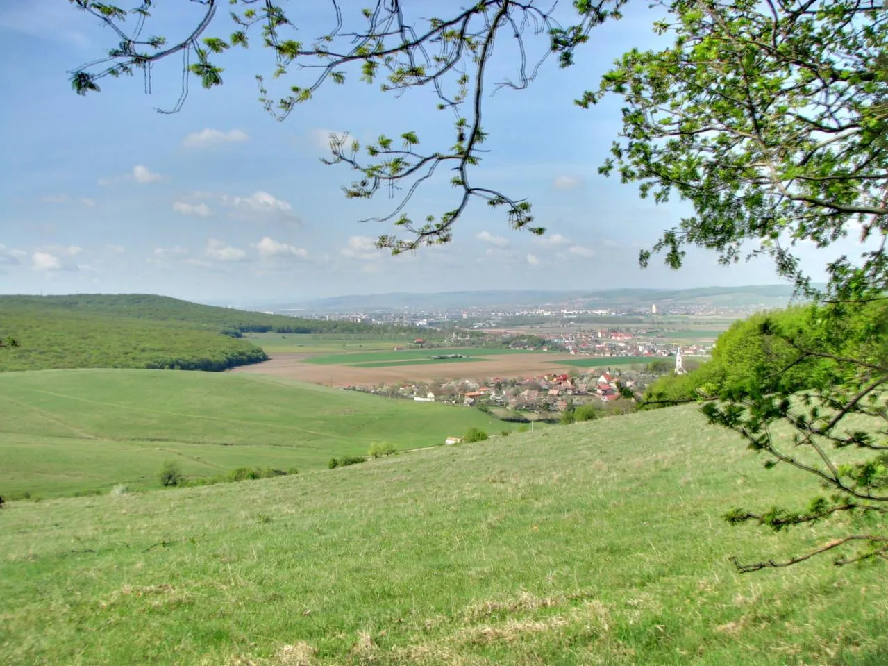 Photo showing: Sangeorgiu de Mures