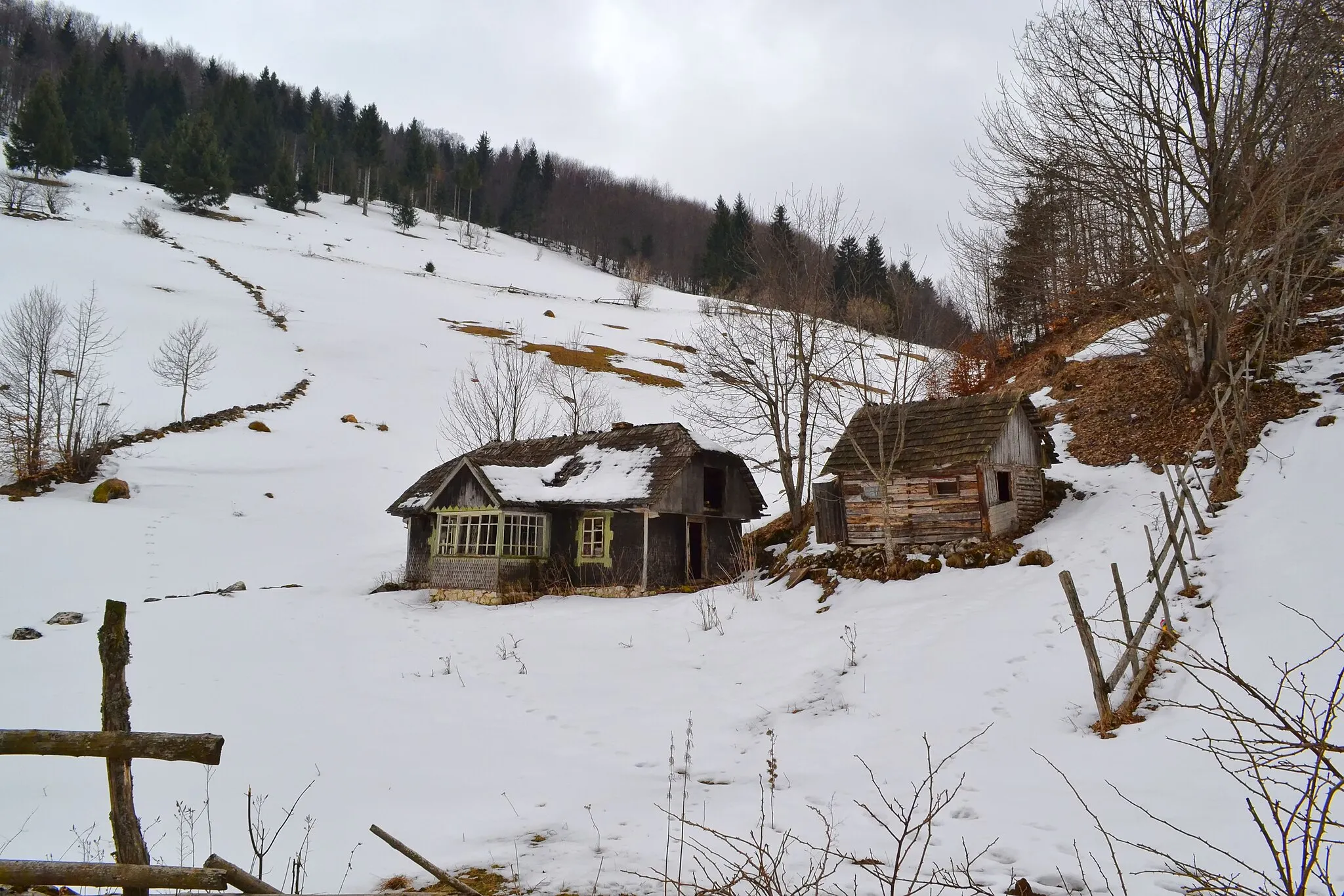 Photo showing: Abandoned house Sirnea