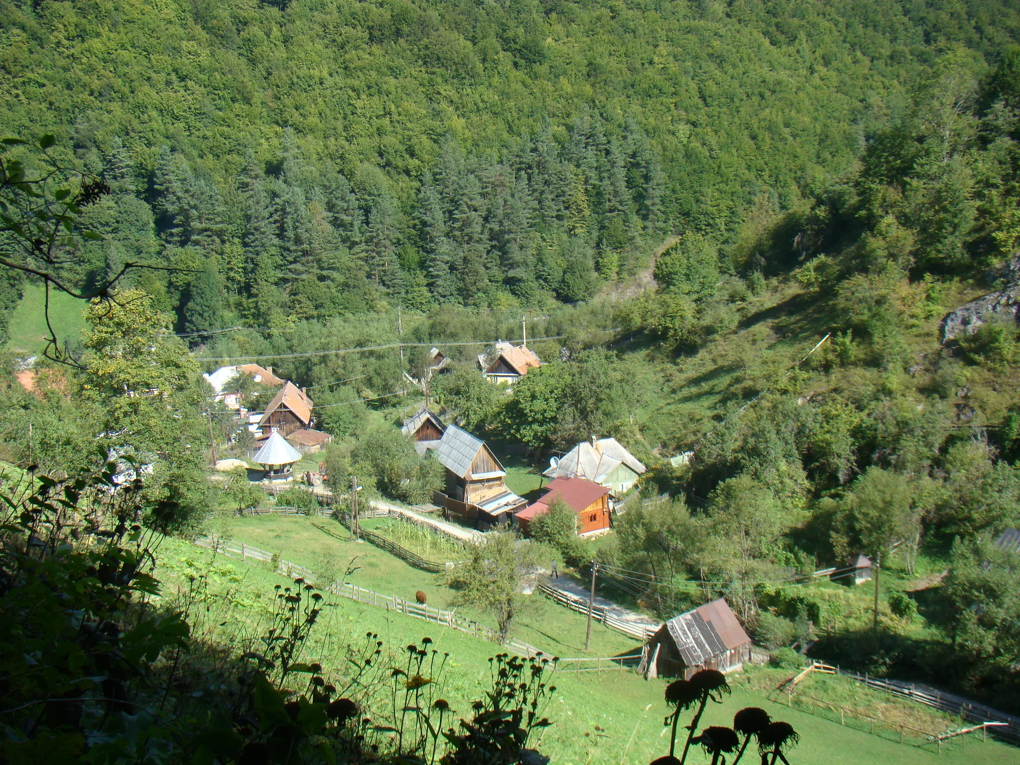 Photo showing: Case din satul Izbita, jud. Alba, Romania
