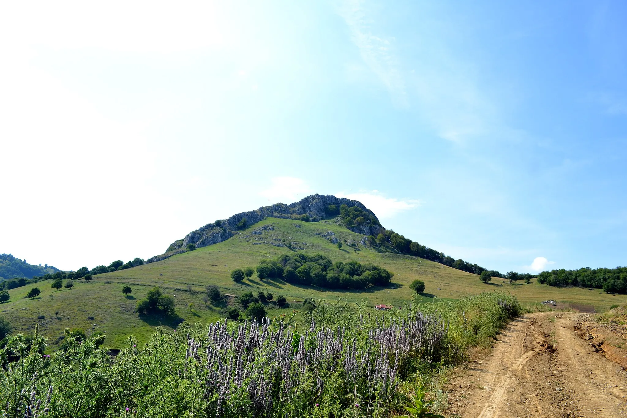 Photo showing: Cetatea dacică Apoulon sau Ranistorum