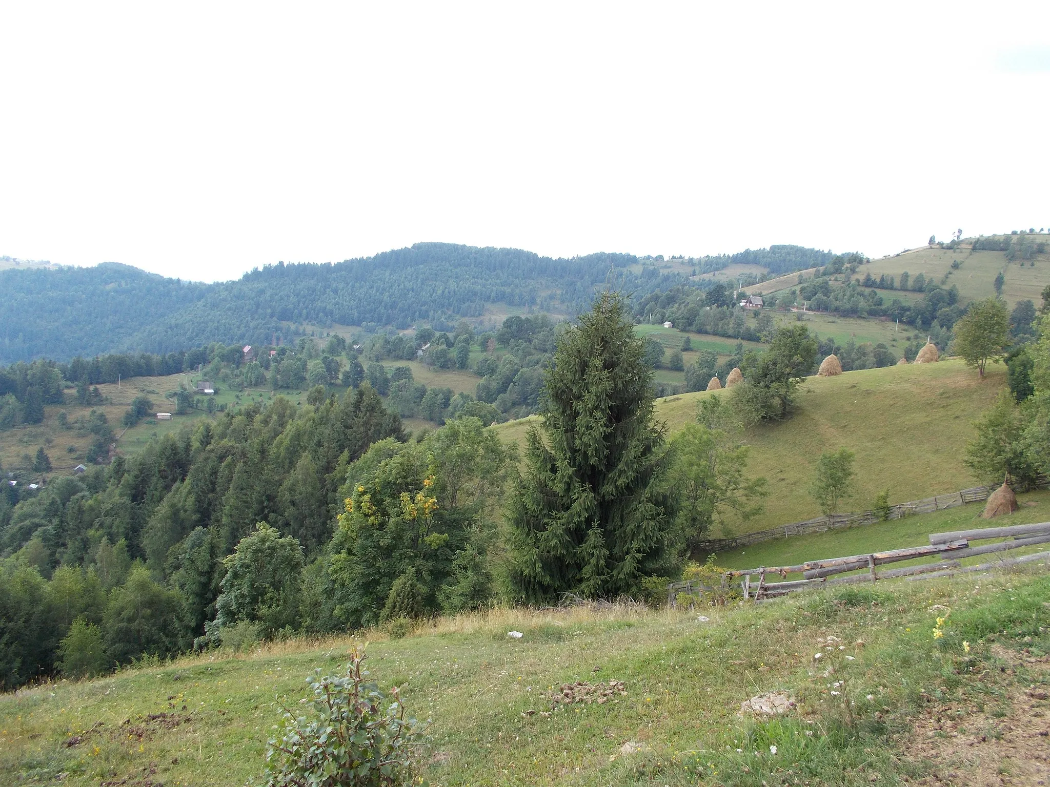 Photo showing: Dealul Fericetului, județul Alba