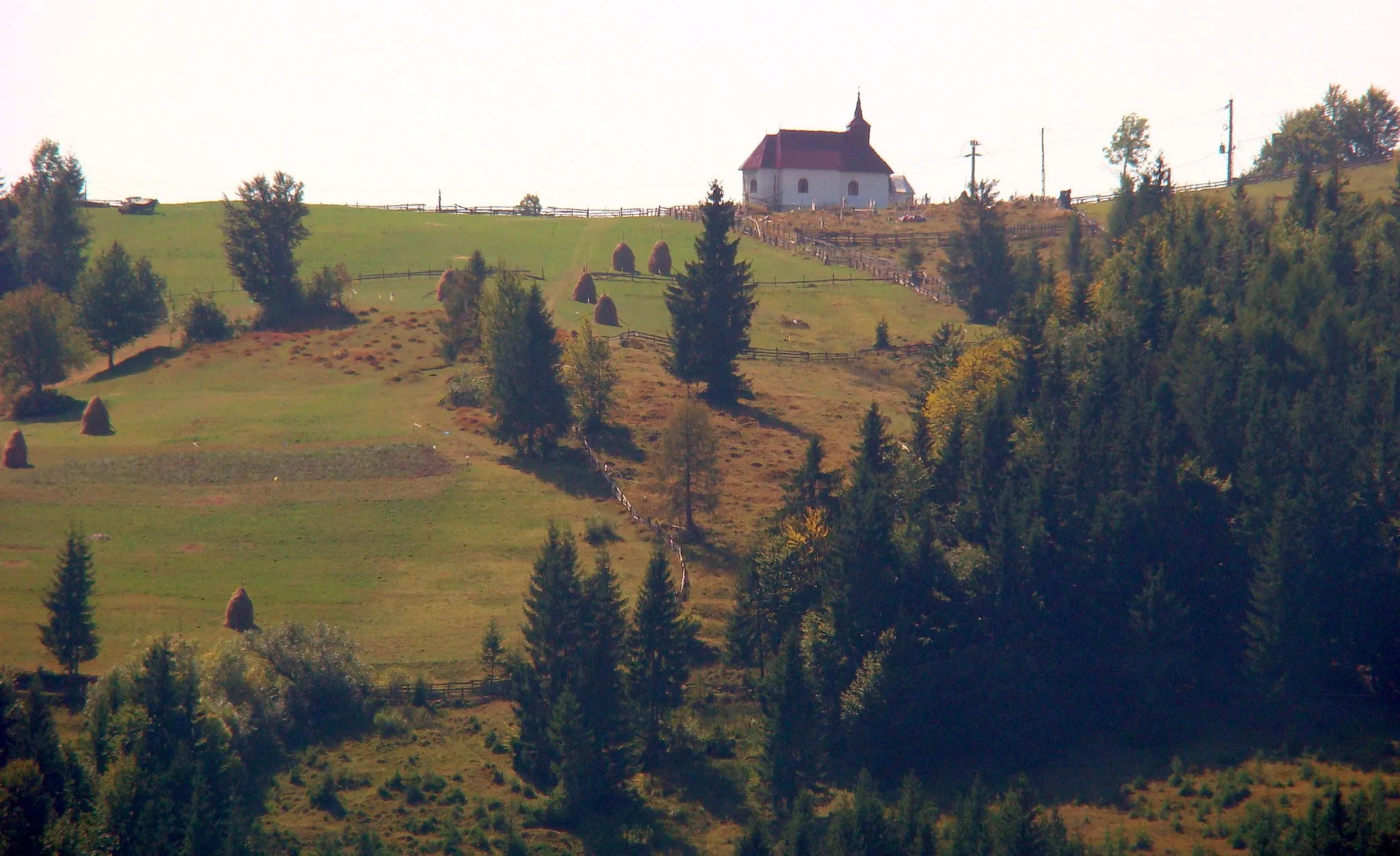 Photo showing: Petreasa, Alba county, Romania