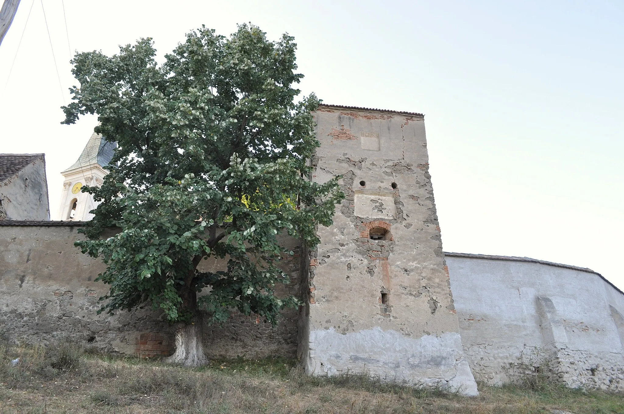 Photo showing: Bălcaciu, Alba

This is a photo of a historic monument in județul Alba, classified with number AB-II-m-B-00182.02.