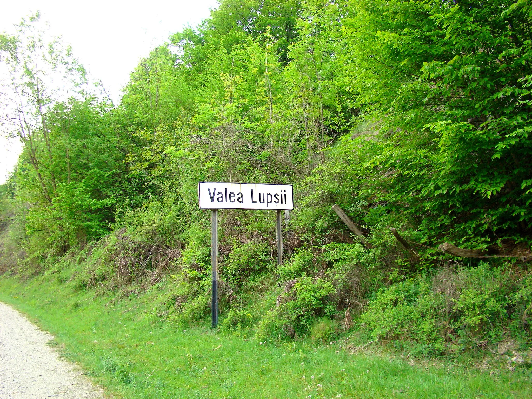 Photo showing: Valea Lupșii, Alba County, Romania