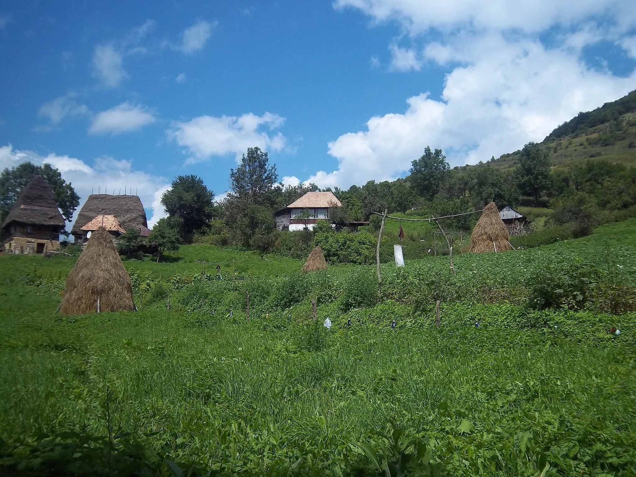 Photo showing: Valea Poienii