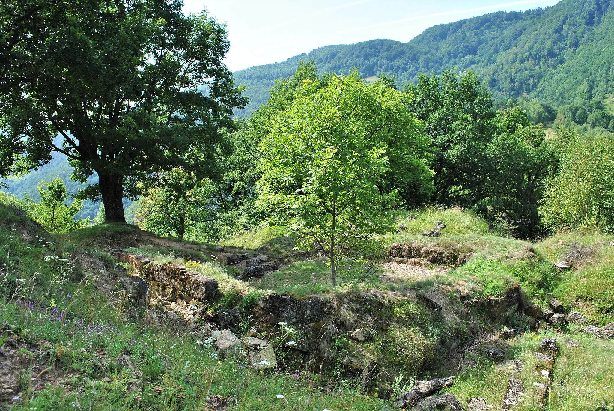 Photo showing: This is a photo of a historic monument in județul Alba, classified with number AB-I-s-A-00020.