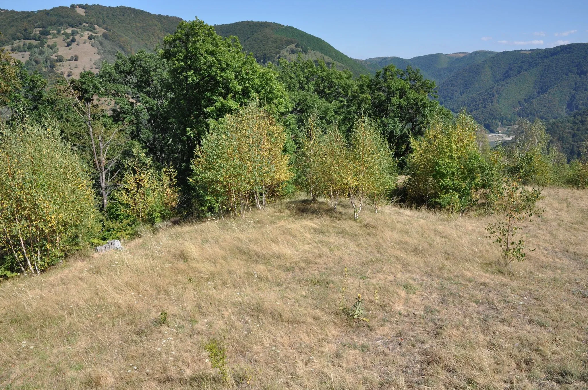 Photo showing: Dacian Fortress of Căpâlna, Alba County, România