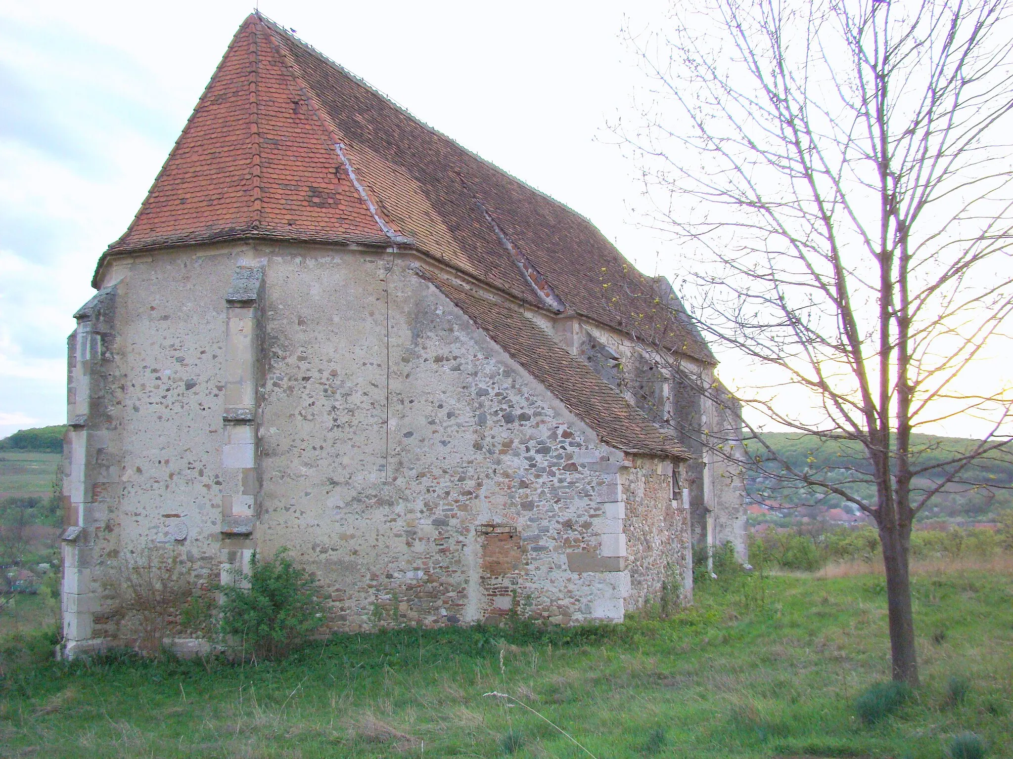 Photo showing: Evangelische Kirche von Vingard (Weingartskirchen), Alba, Siebenbürgen, Rumänien