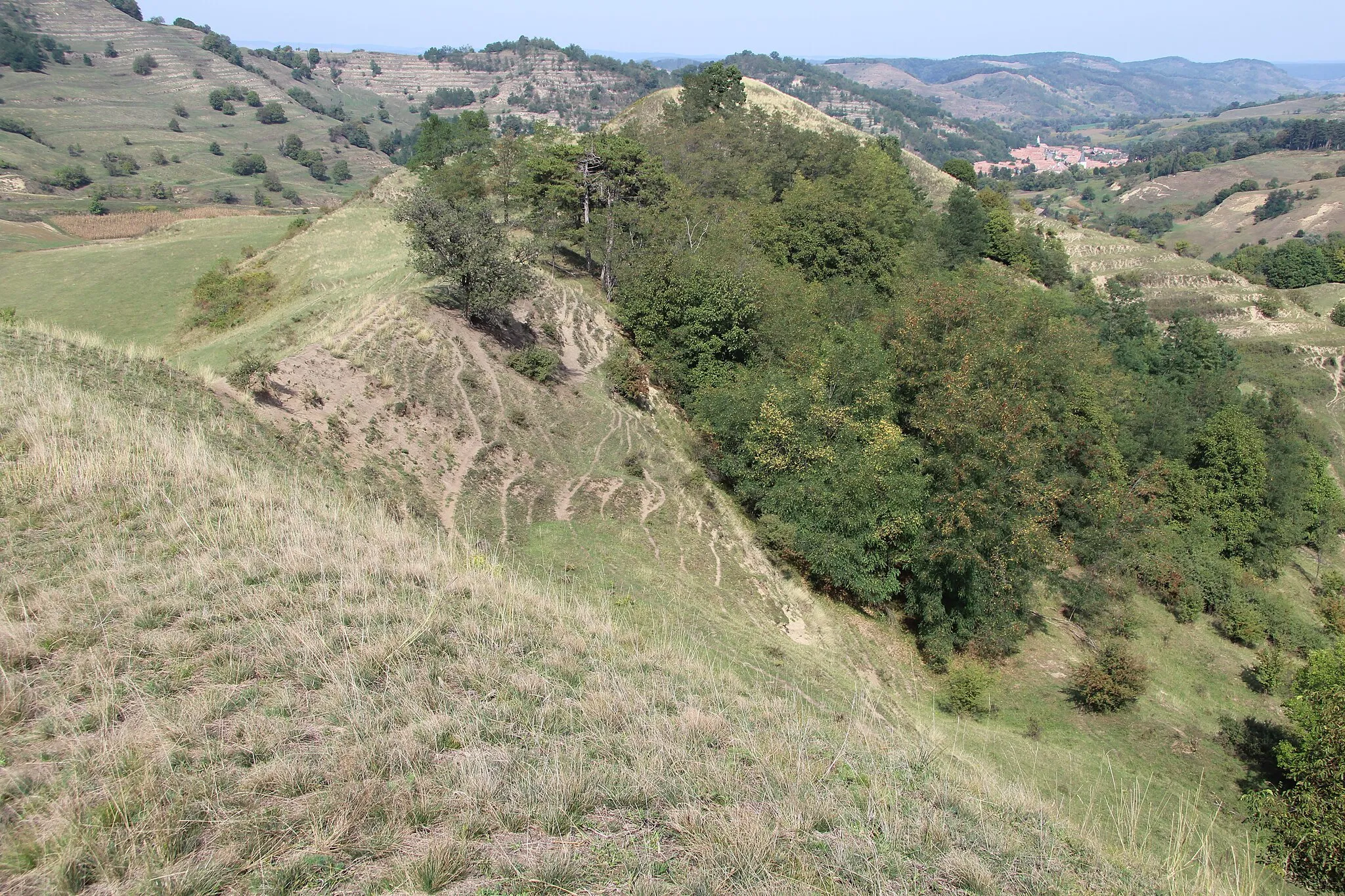 Photo showing: Blick von einer Hügelkette nordnordostwärts in Richtung der Ortschaft Reichesdorf (Richis), Kreis Sibiu, Rumänien