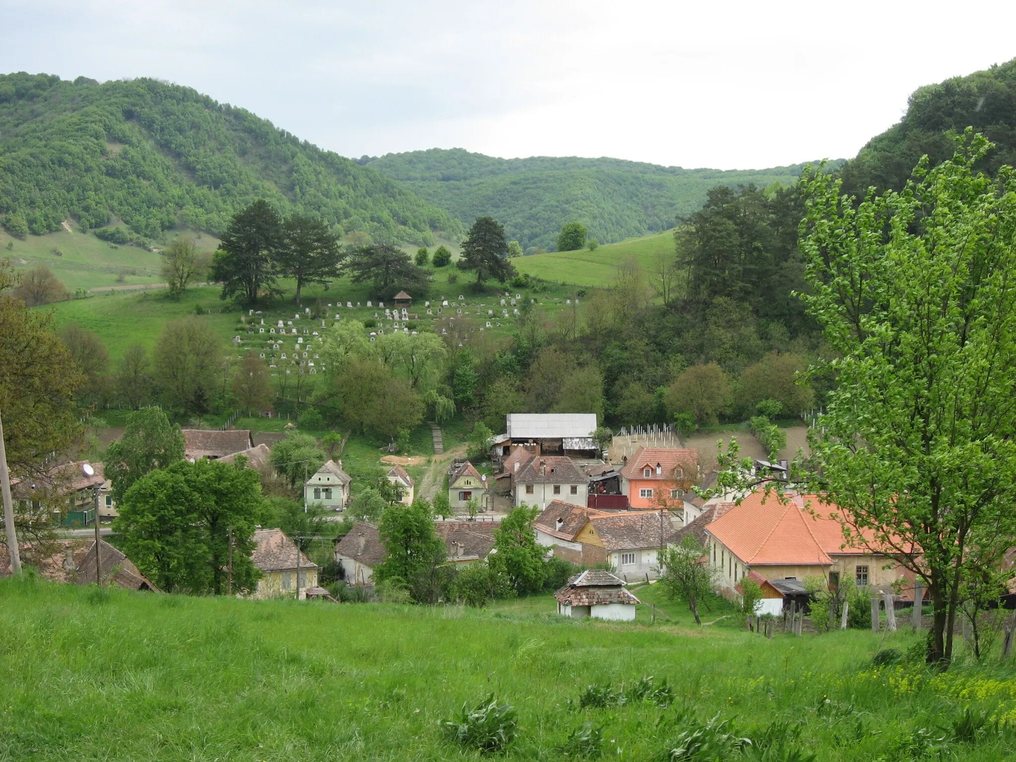 Photo showing: Mălâncrav (German: Malmkrog, Hungarian: Almakerék), part of the village with the Saxon (Lutheran) cemetary on the hill