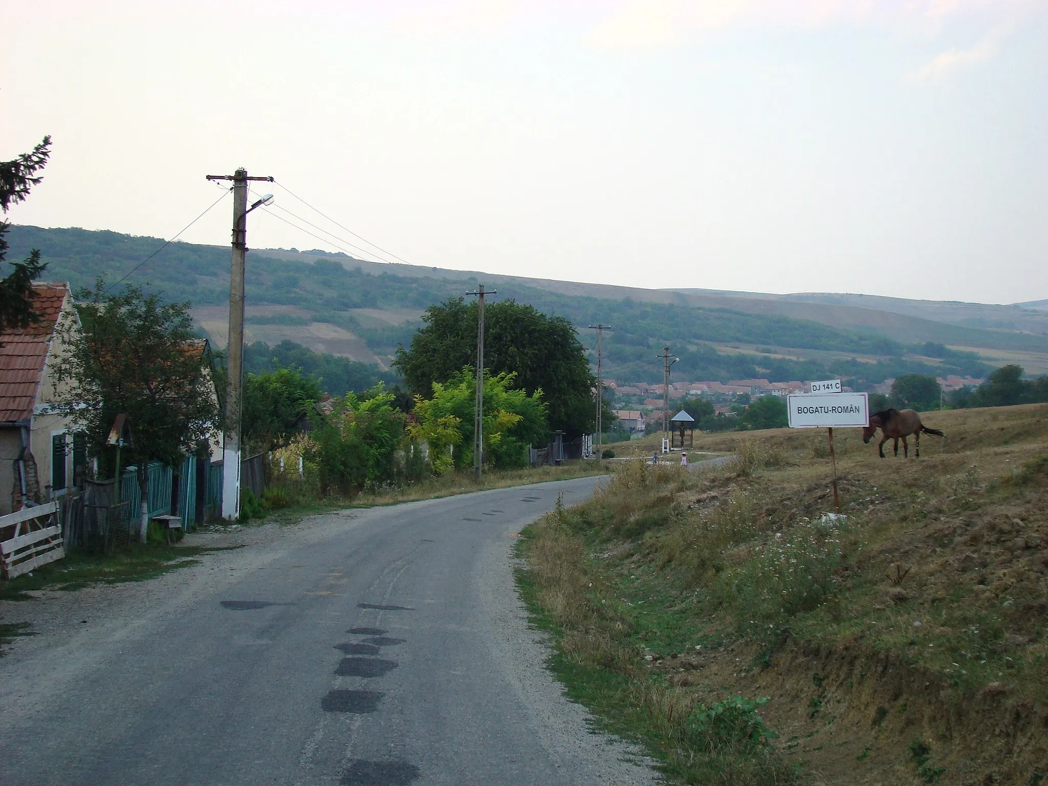 Photo showing: Bogatu Român, Sibiu conty, Romania