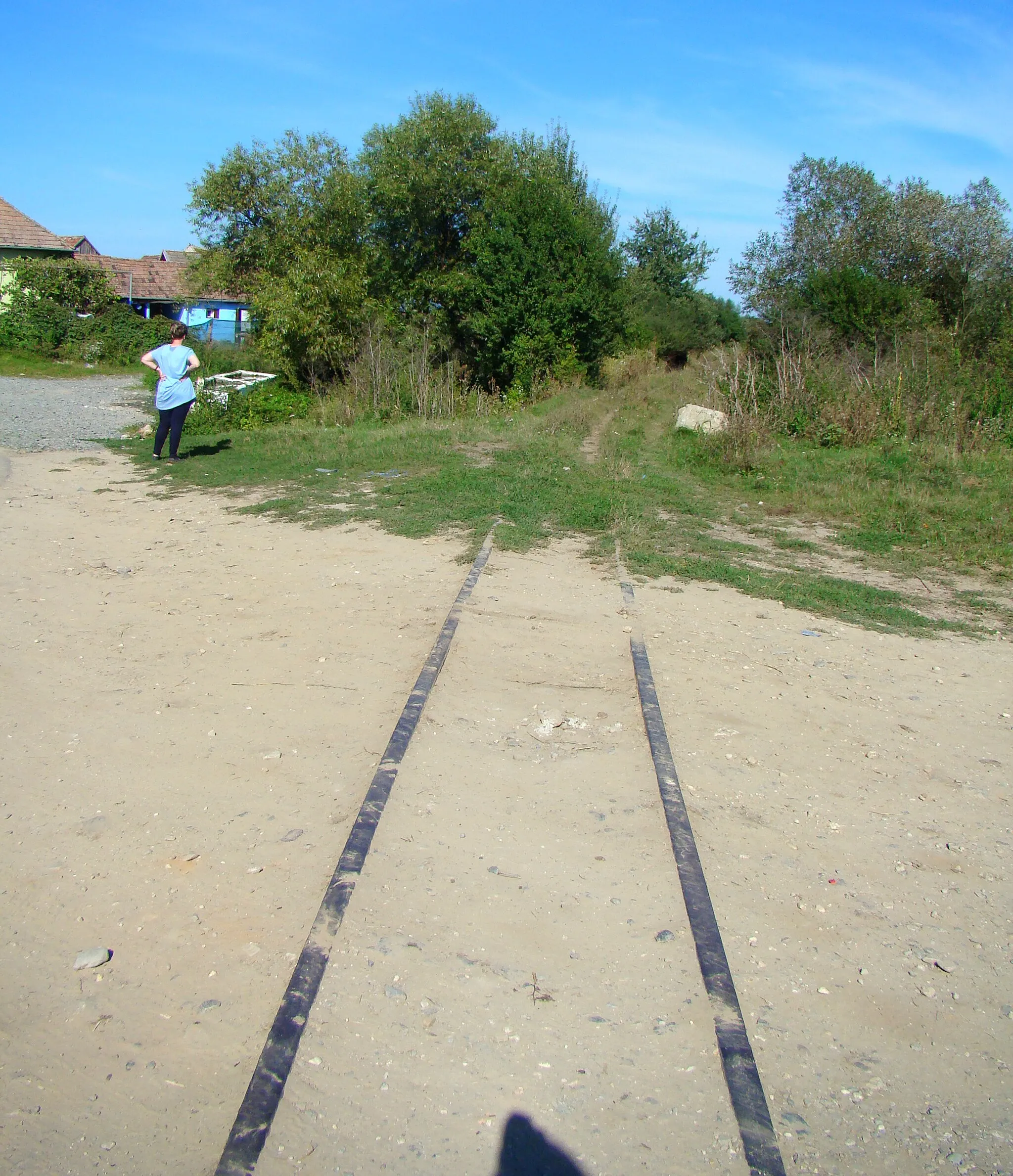 Photo showing: Linie ferată îngustă, sat Cașolț; comuna Roșia	Între km 90+825-95+584	  1898 - 1910