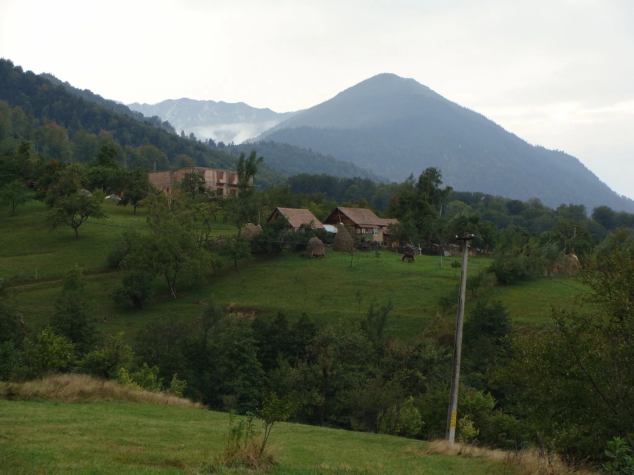 Photo showing: Poză făcută în Predeluț. În planul secund se vede Piatra Craiului.