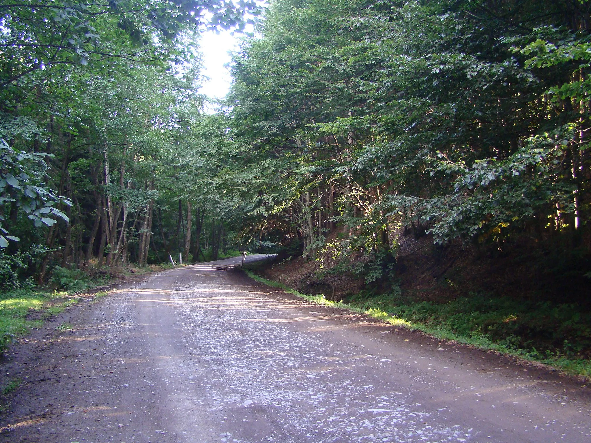 Photo showing: Road Corund-Valea lui Pavel in Harghita County, Romania