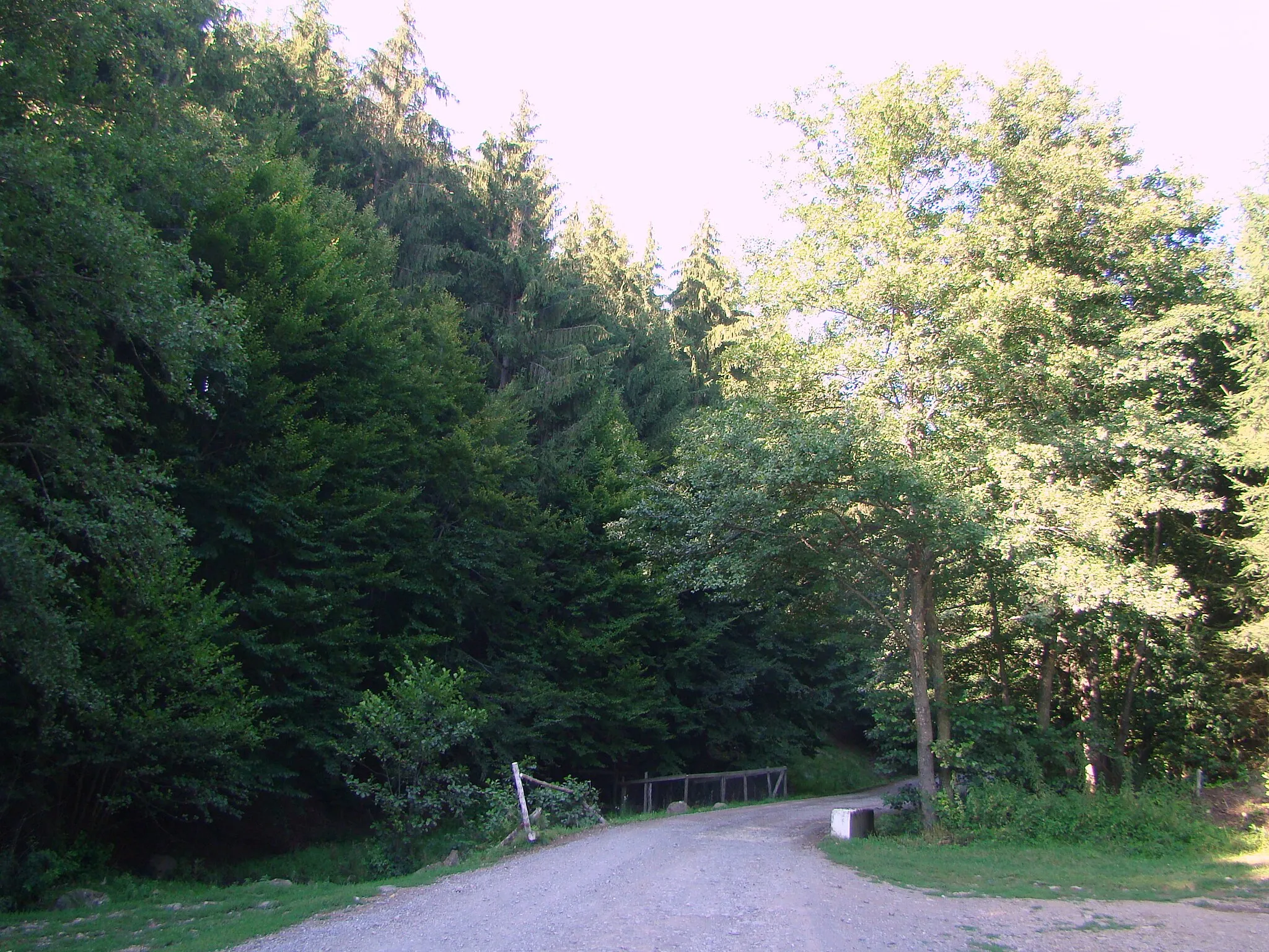 Photo showing: Road Corund-Valea lui Pavel in Harghita County, Romania