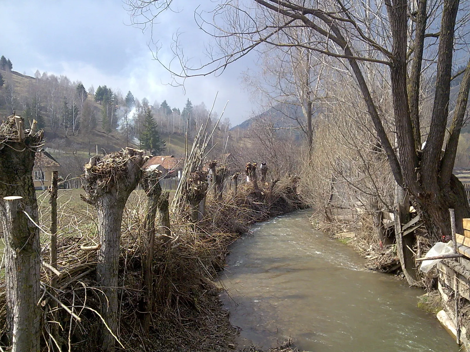 Photo showing: Tatros (Trotuş) River at Gyimesfelsőlok (Lunca de Sus), in Transylvania, Romania