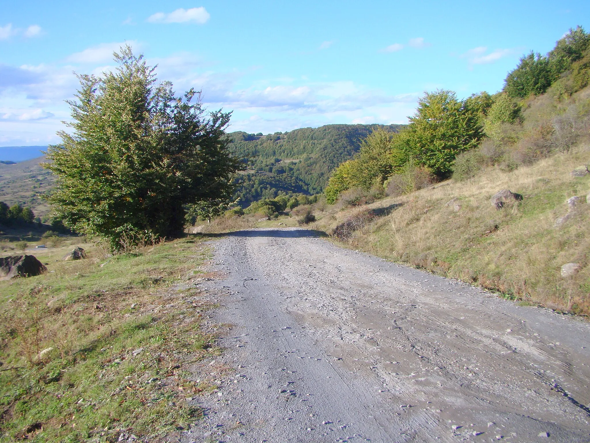 Photo showing: Road Ocna de Sus-Becaș in Harghita County, Romania